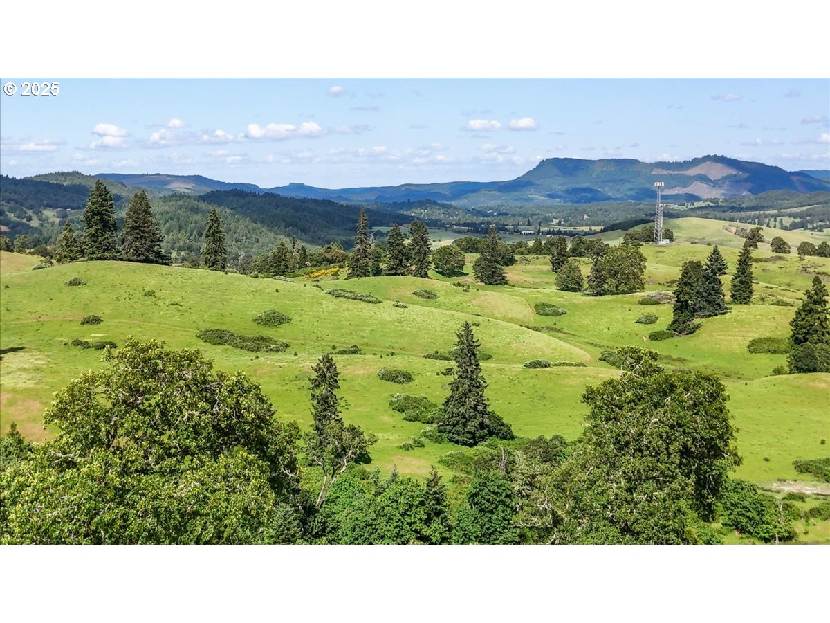 331 METZ HILL RD, Oakland, OR, 97462