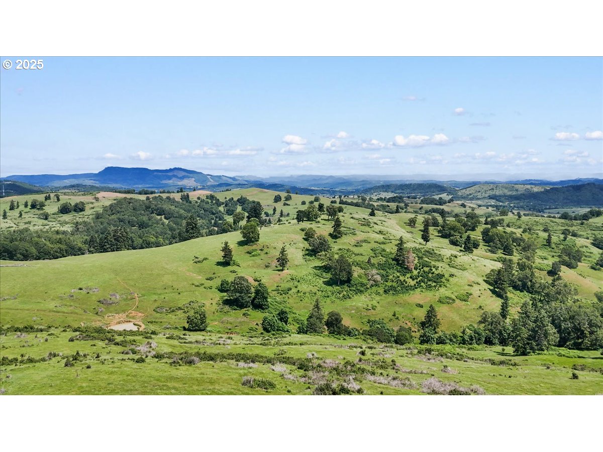331 METZ HILL RD, Oakland, OR, 97462