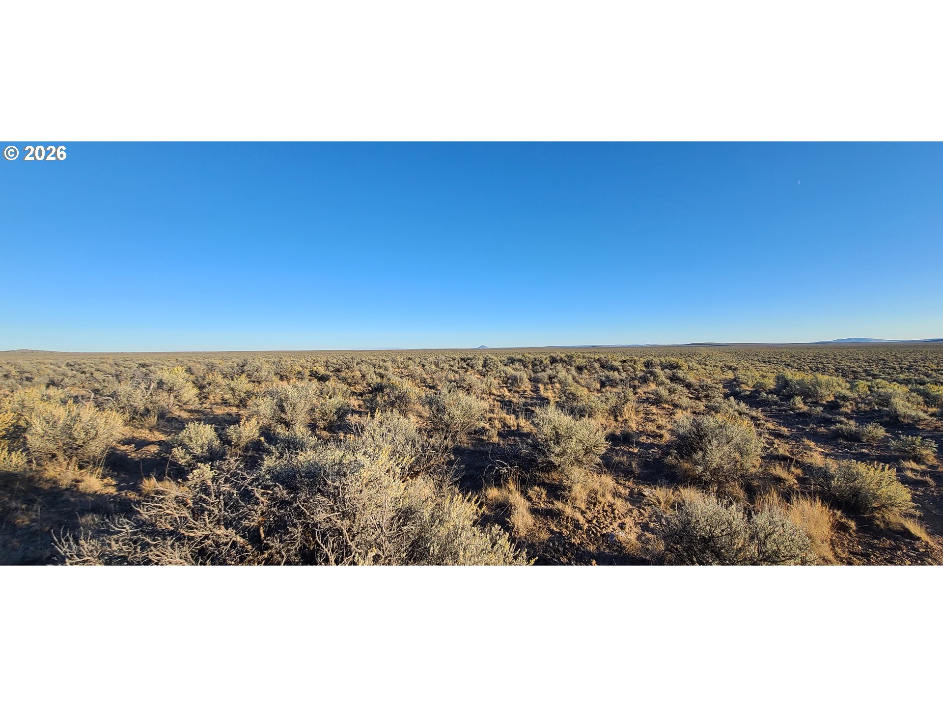 1480 IVY ST, Junction City, OR, 97448