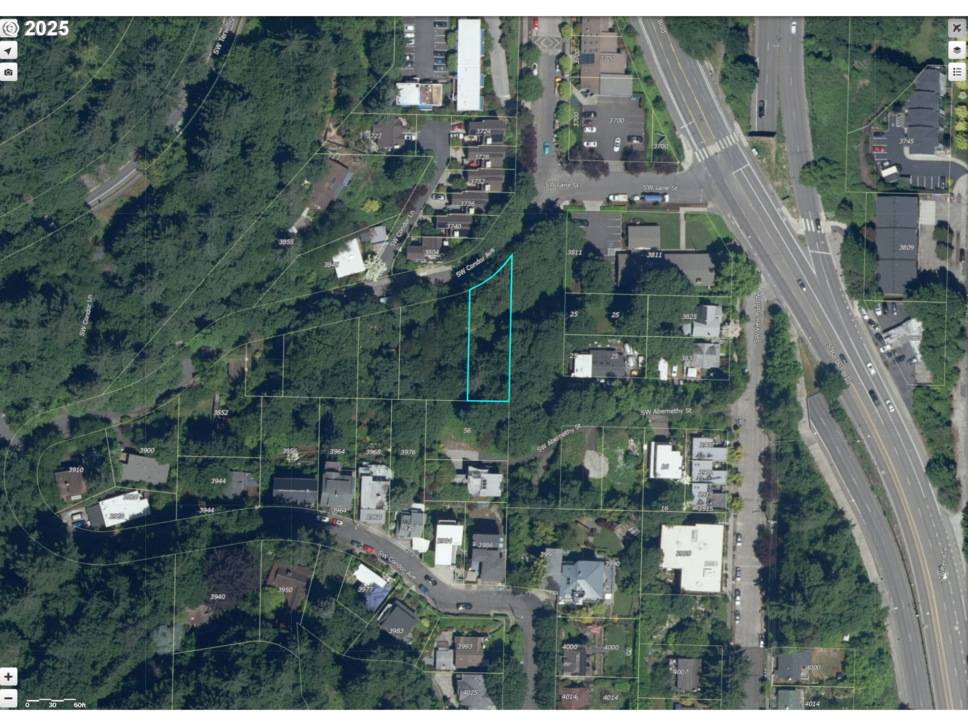 Search Homes for Sale