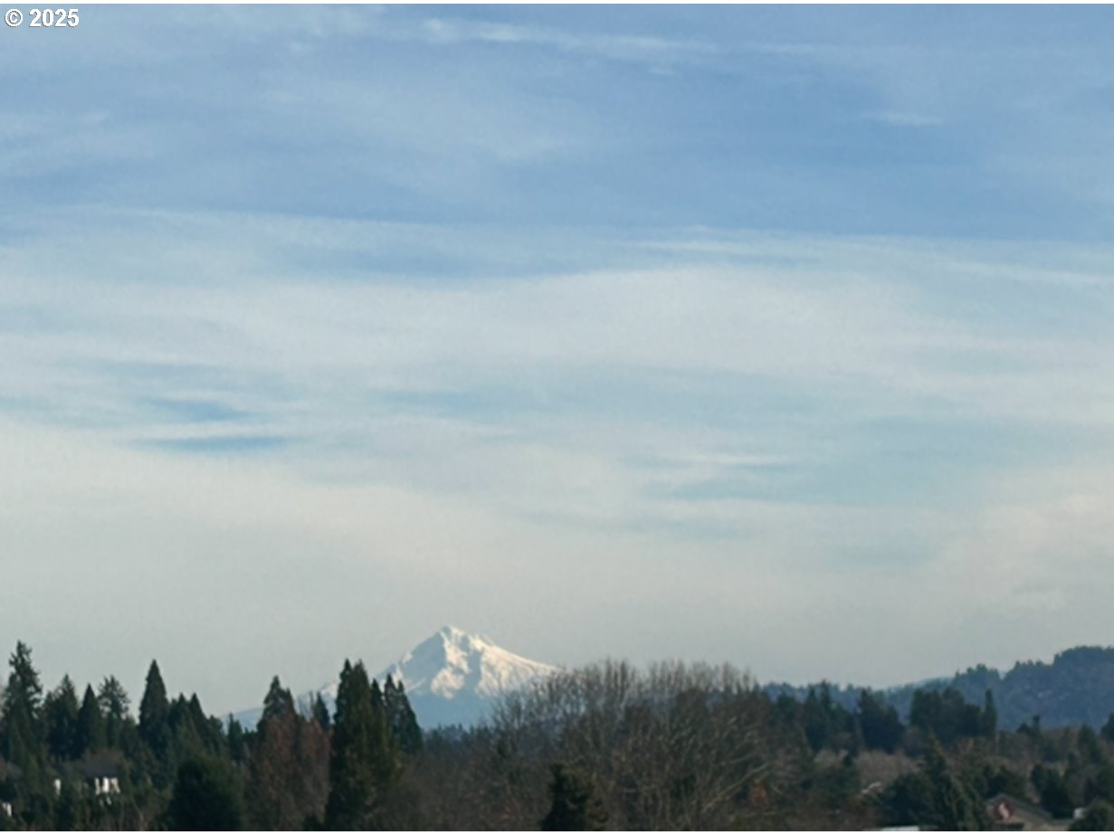 Photo #3: 309294118 Listing: Photo #3