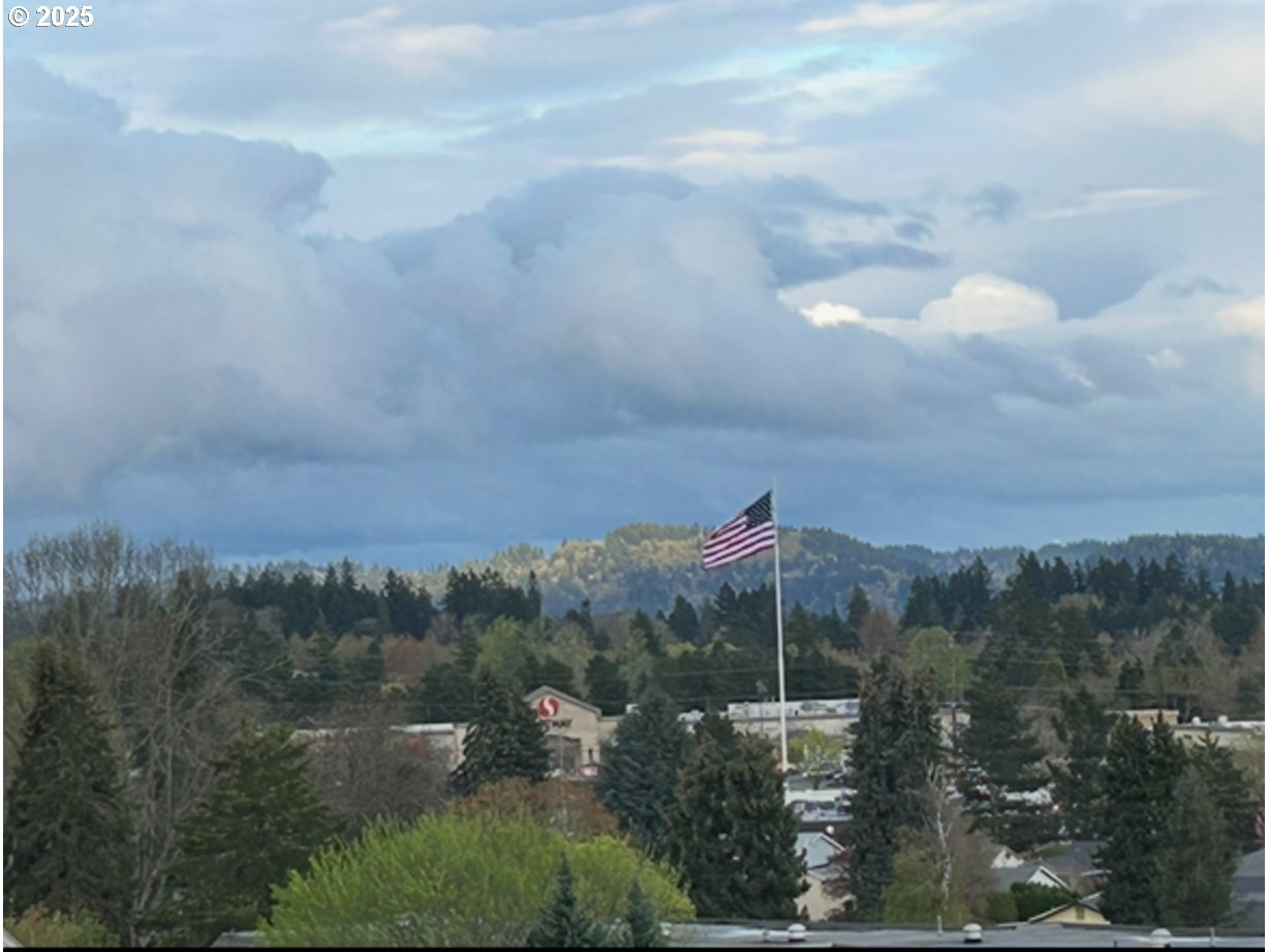 Photo #11: 309294118 Listing: Photo #11