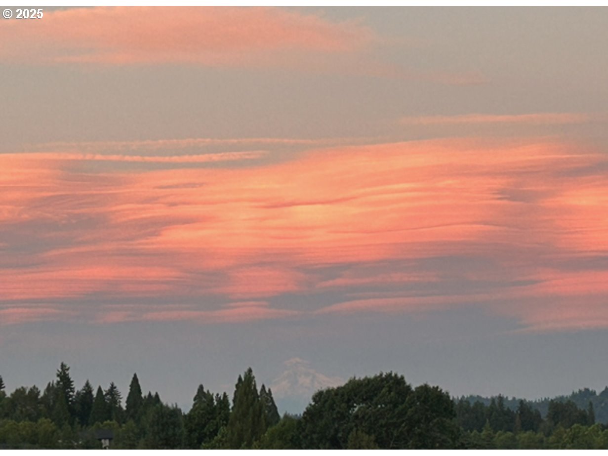 Photo #7: 309294118 Listing: Photo #7