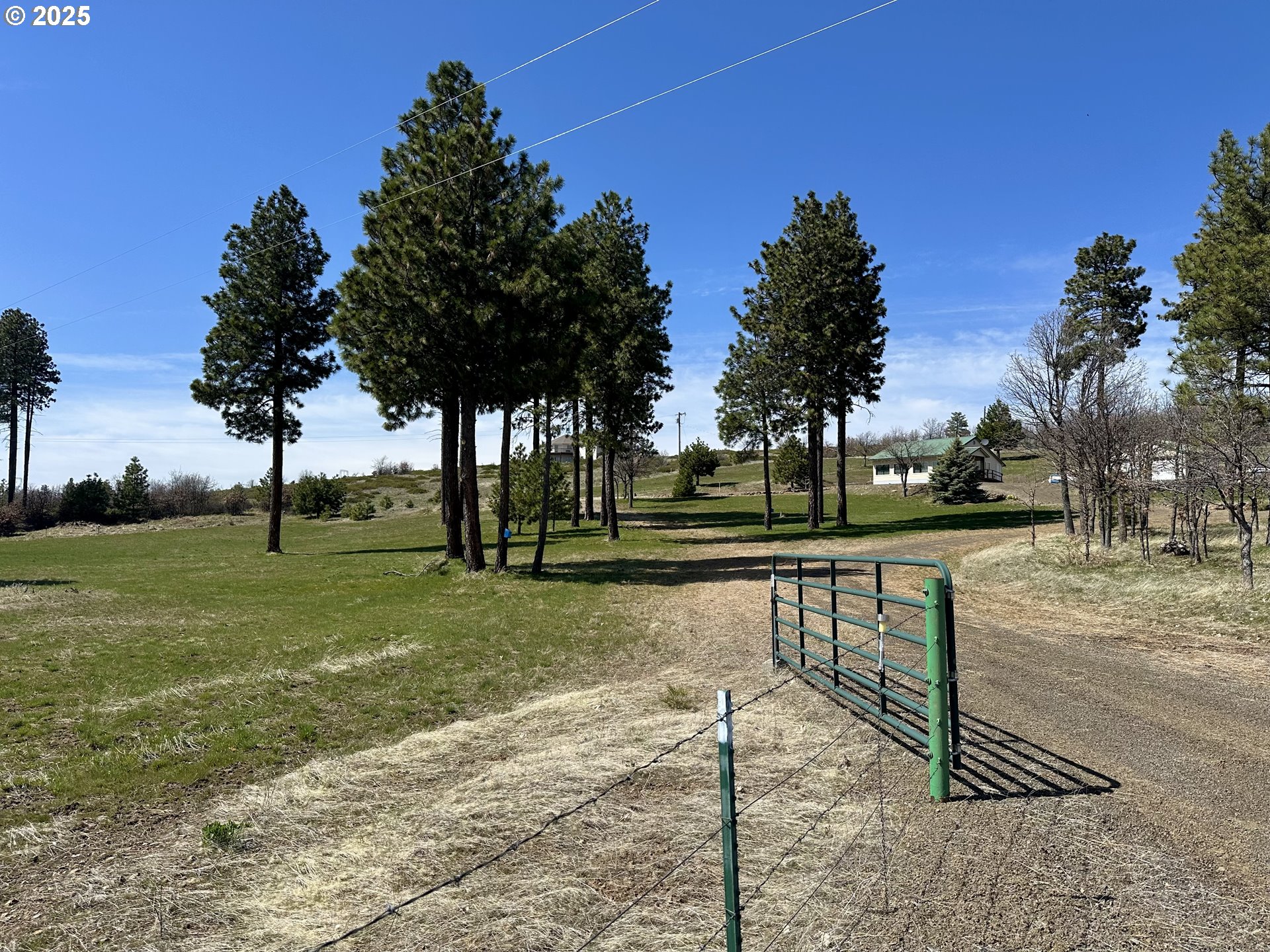 3021 BICKLETON HWY, Bickleton, WA, 99322