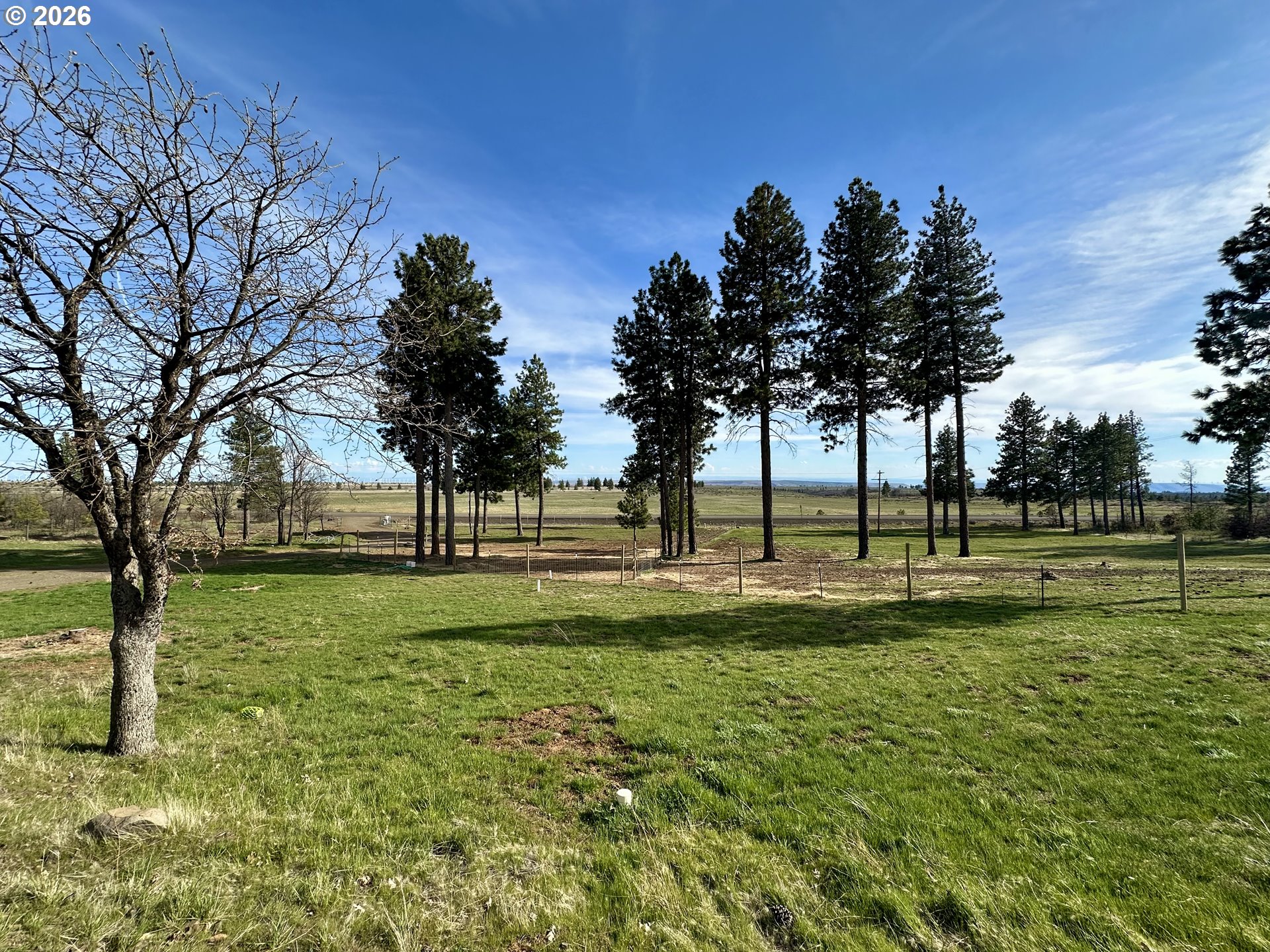 3021 BICKLETON HWY, Bickleton, WA, 99322