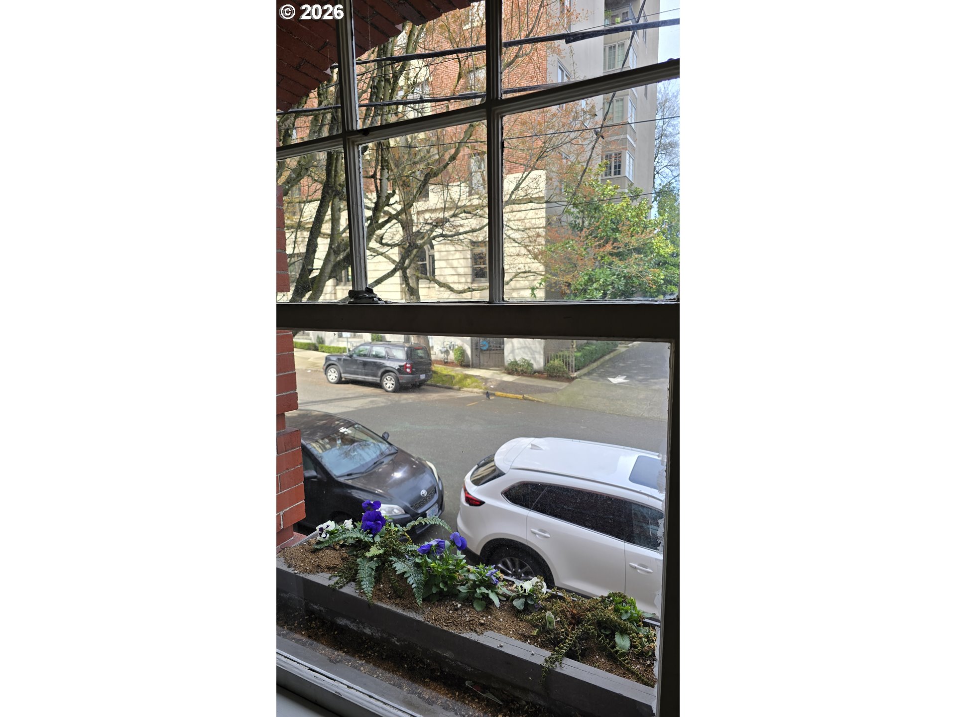 Photo #18: 309501987 Listing: Photo #18