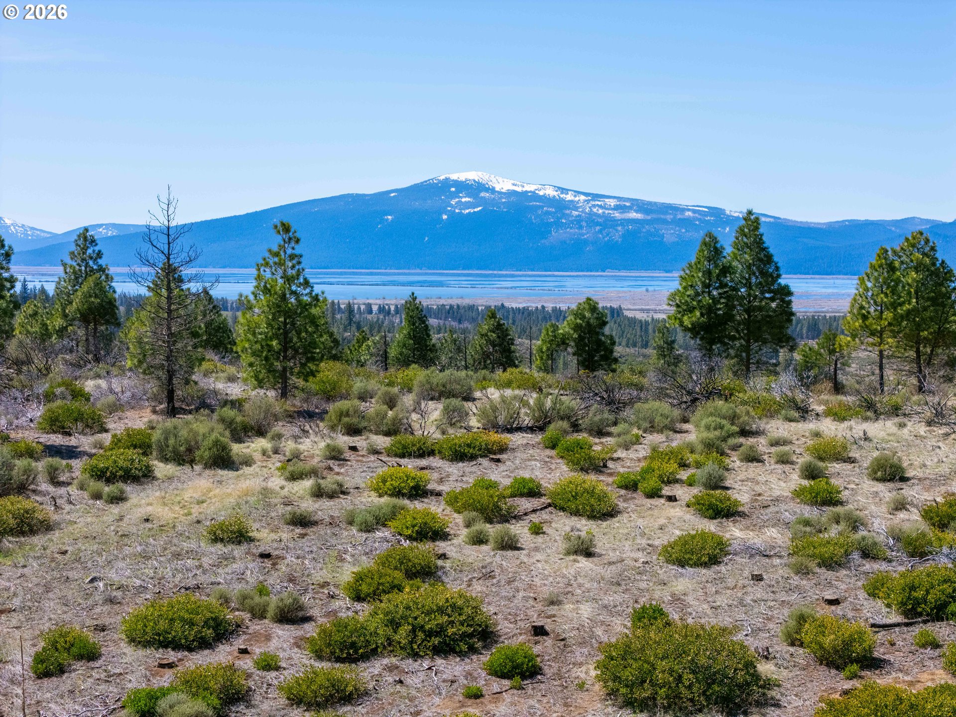 0 N OLD HIGHWAY 99, Roseburg, OR, 97470