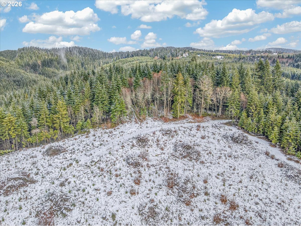 26875 NW BACONA RD, Buxton, OR, 97109
