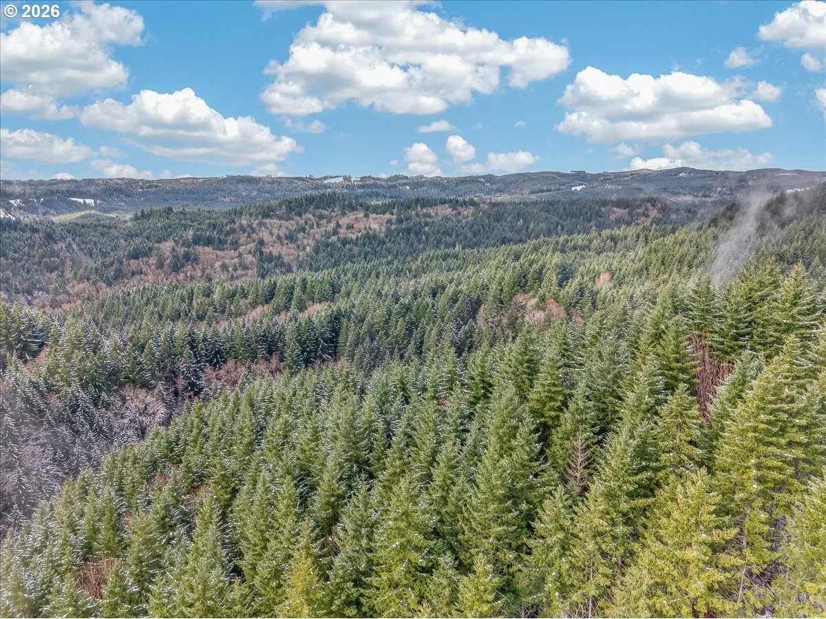 26875 NW BACONA RD, Buxton, OR, 97109