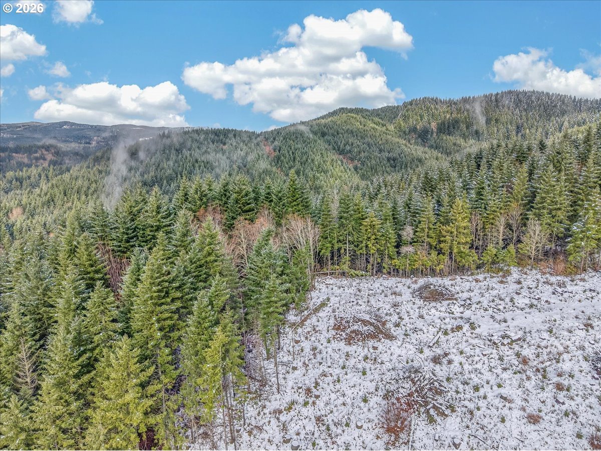 26875 NW BACONA RD, Buxton, OR, 97109