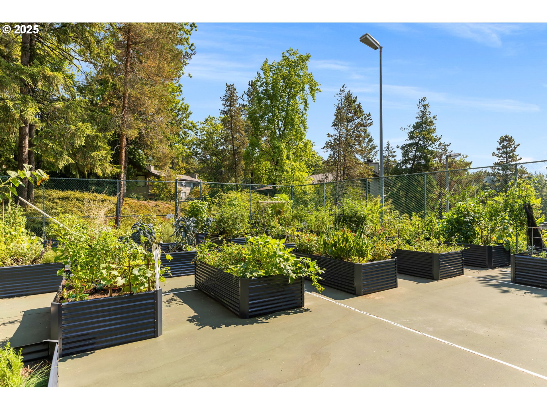 Photo #29: 312463802 Listing: Photo #29