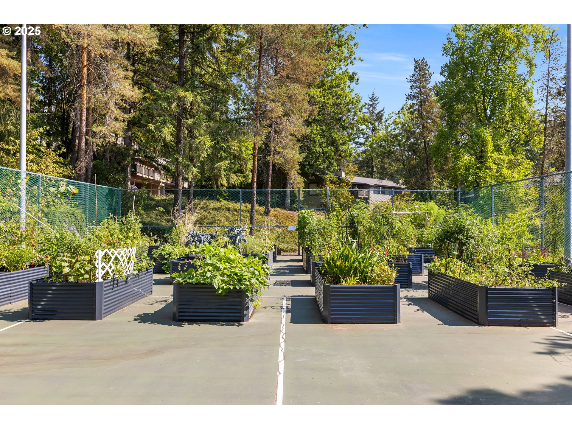 Photo #30: 312463802 Listing: Photo #30