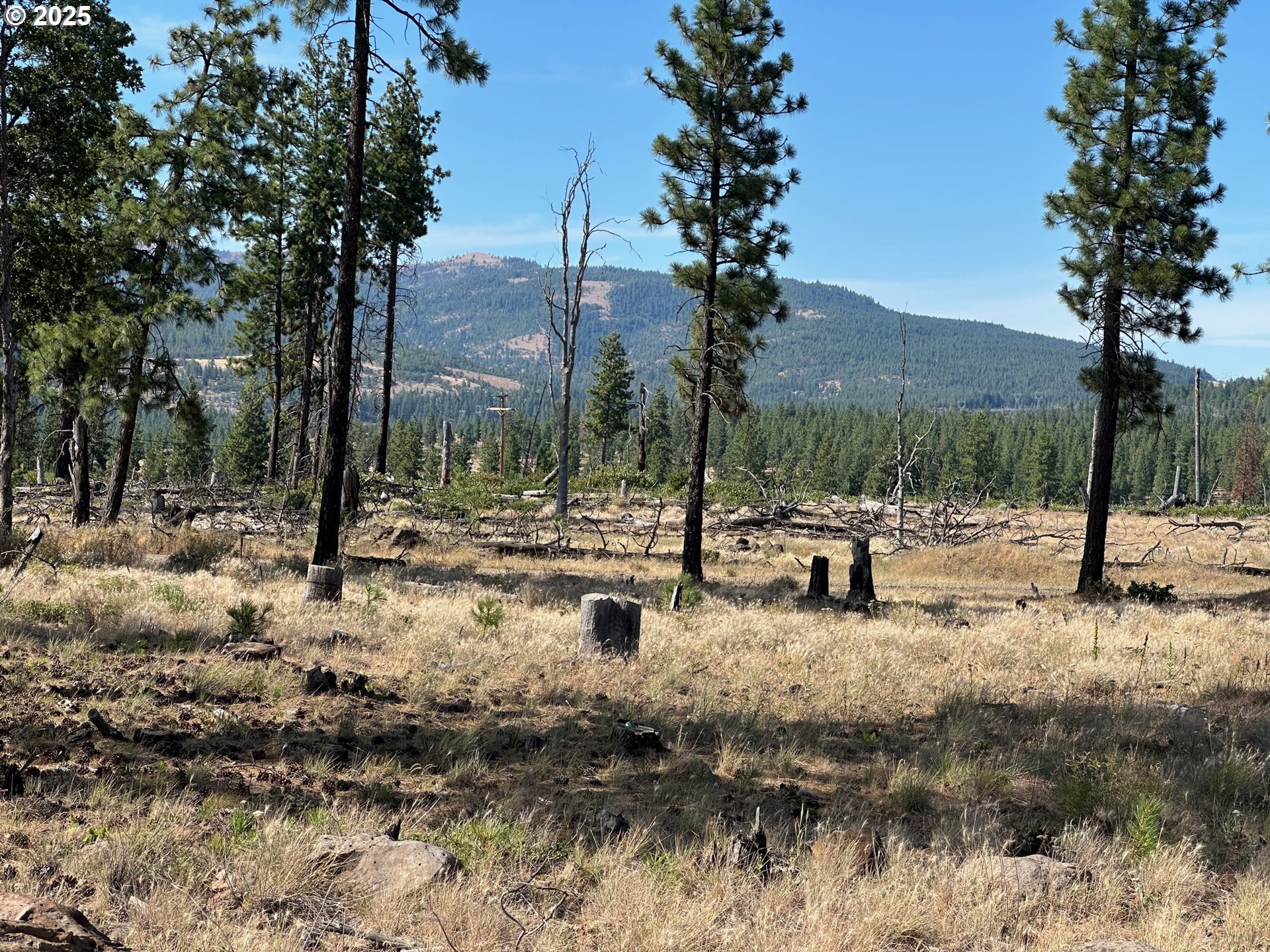 6600 NE Jones LOOP, Neotsu, OR, 97364