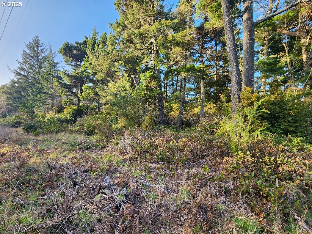 Search Homes for Sale