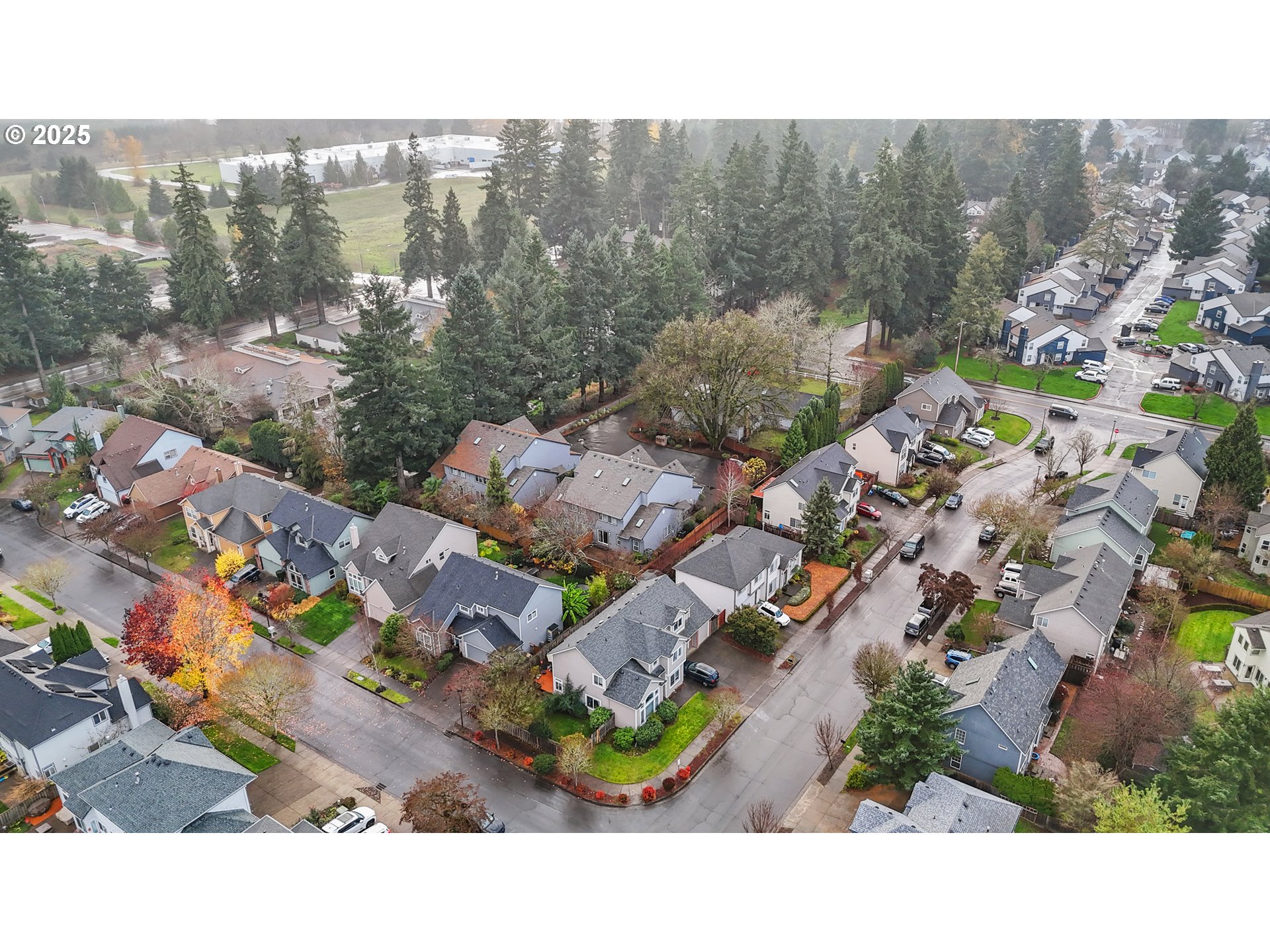 Photo #42: 314768128 Listing: Photo #42