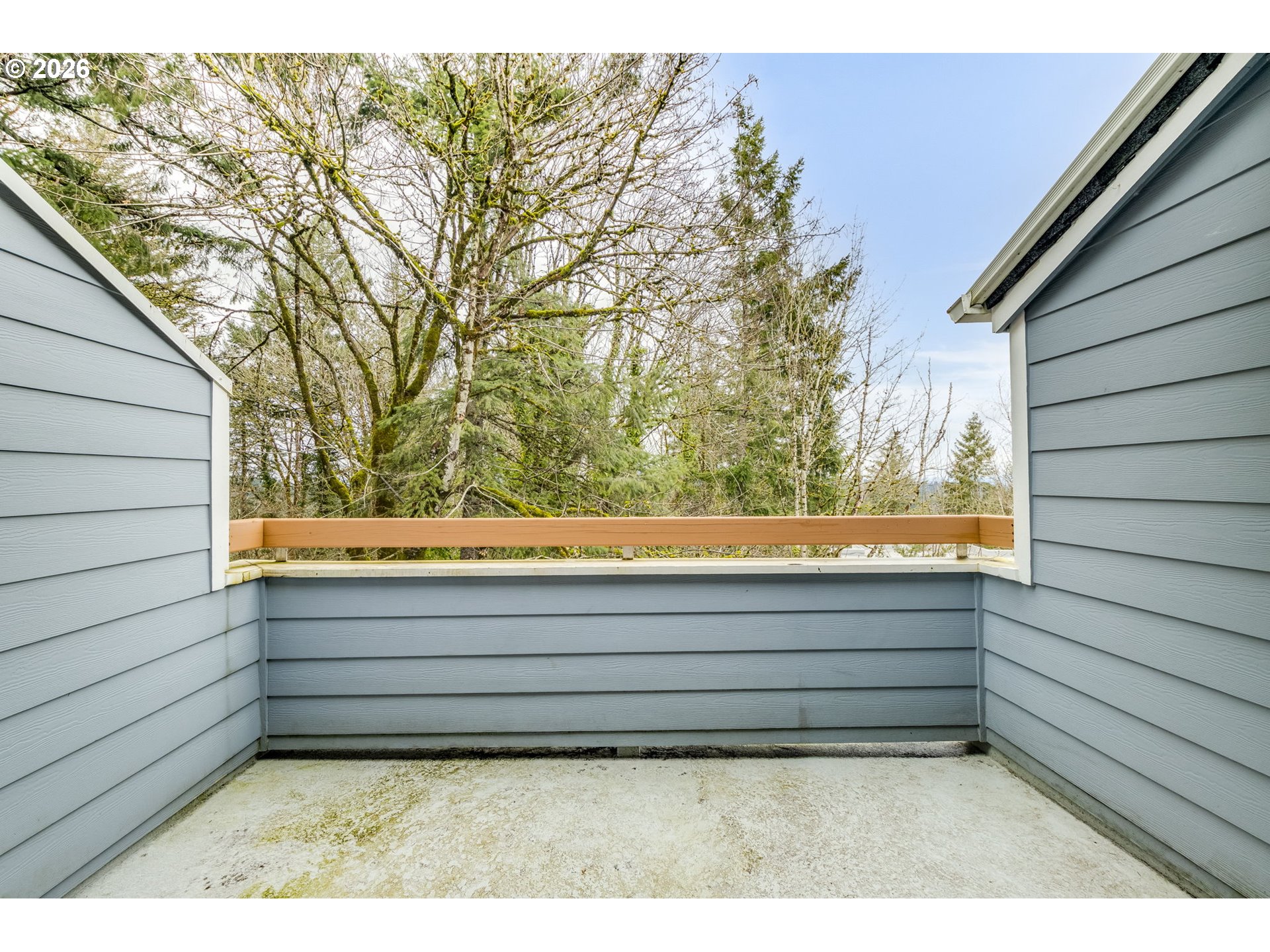 Photo #23: 315408721 Listing: Photo #23