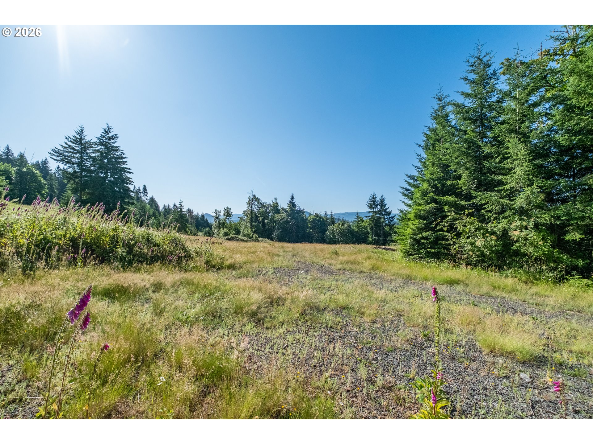 Jones DR UNIT TL 1700, Foster, OR, 97345