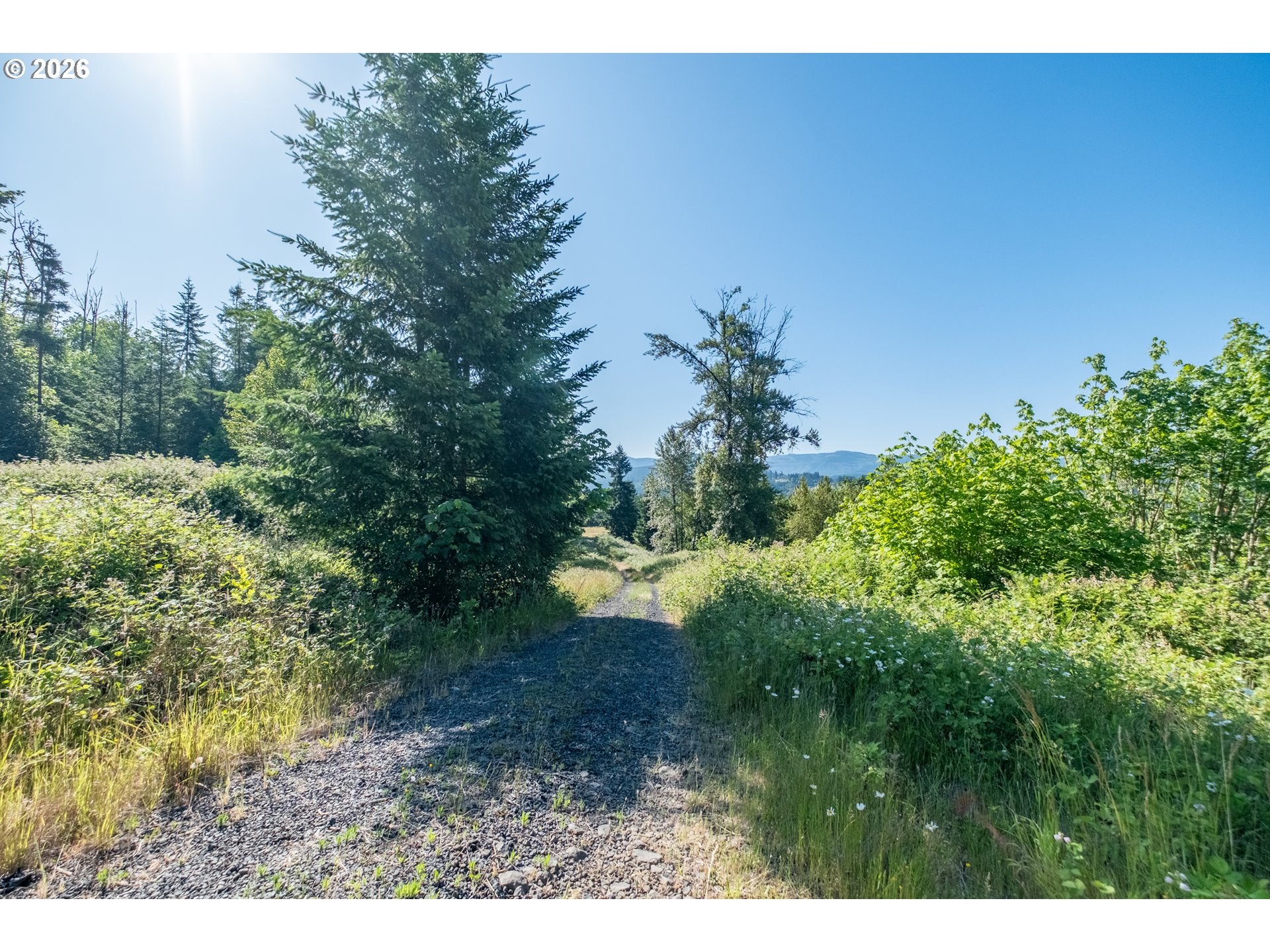 Jones DR UNIT TL 1700, Foster, OR, 97345