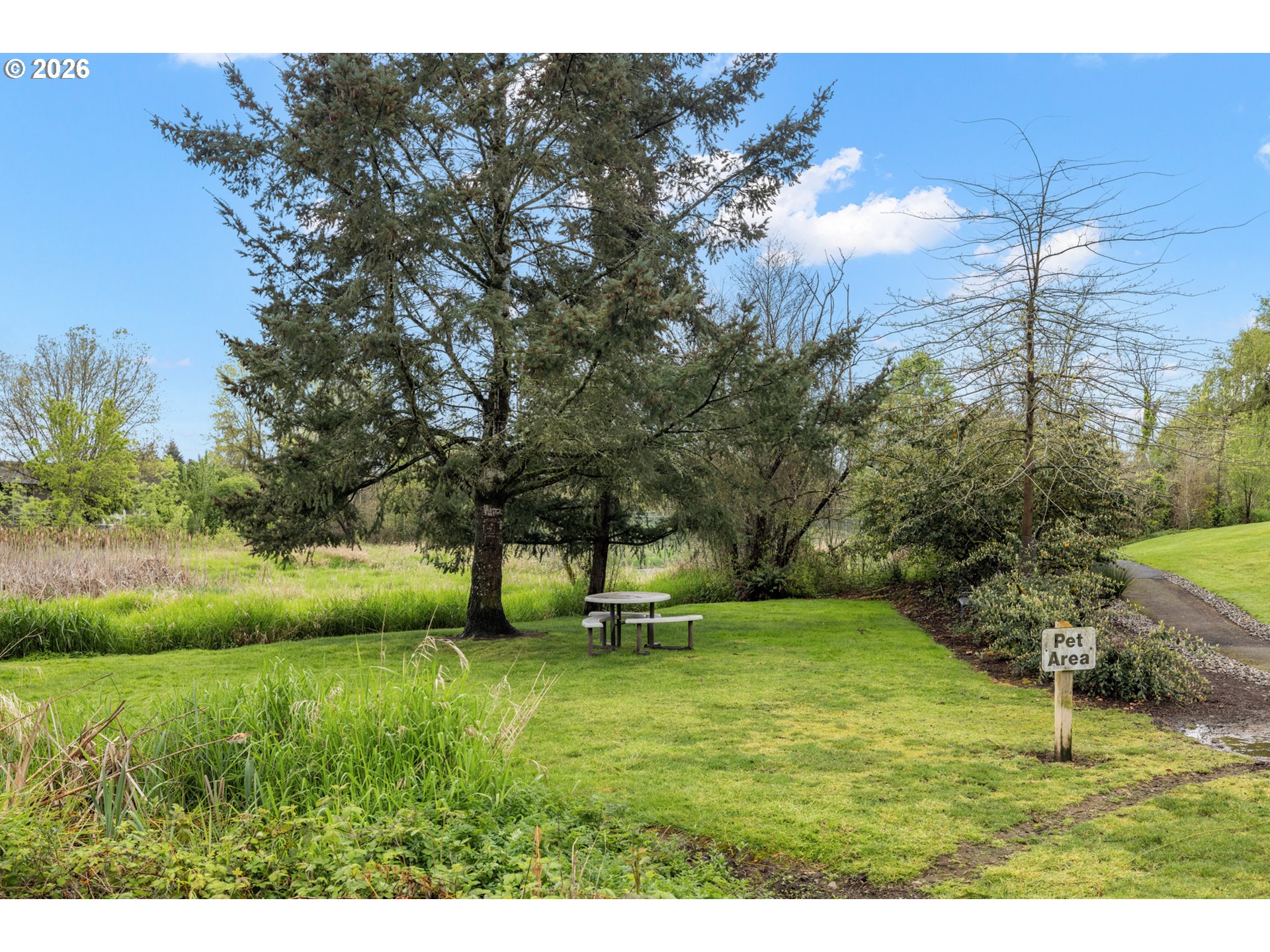 Photo #26: 319690627 Listing: Photo #26