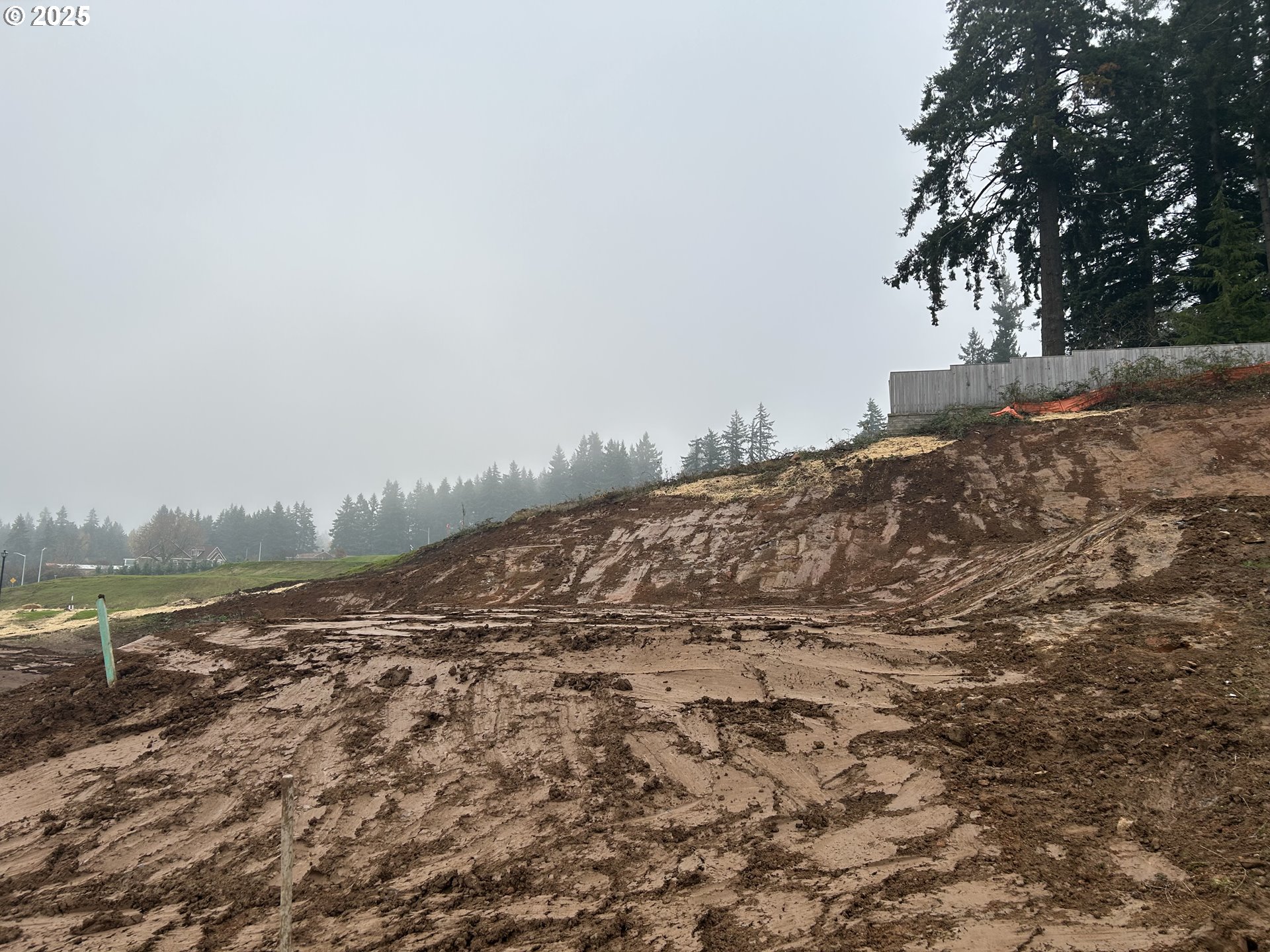 Search Homes for Sale