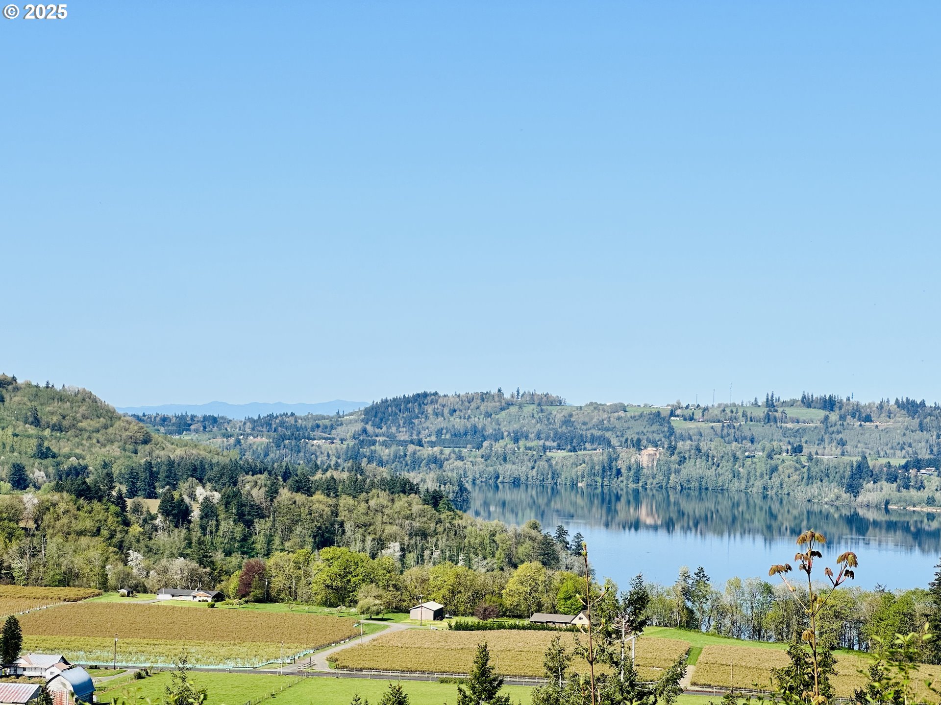 Search Homes for Sale