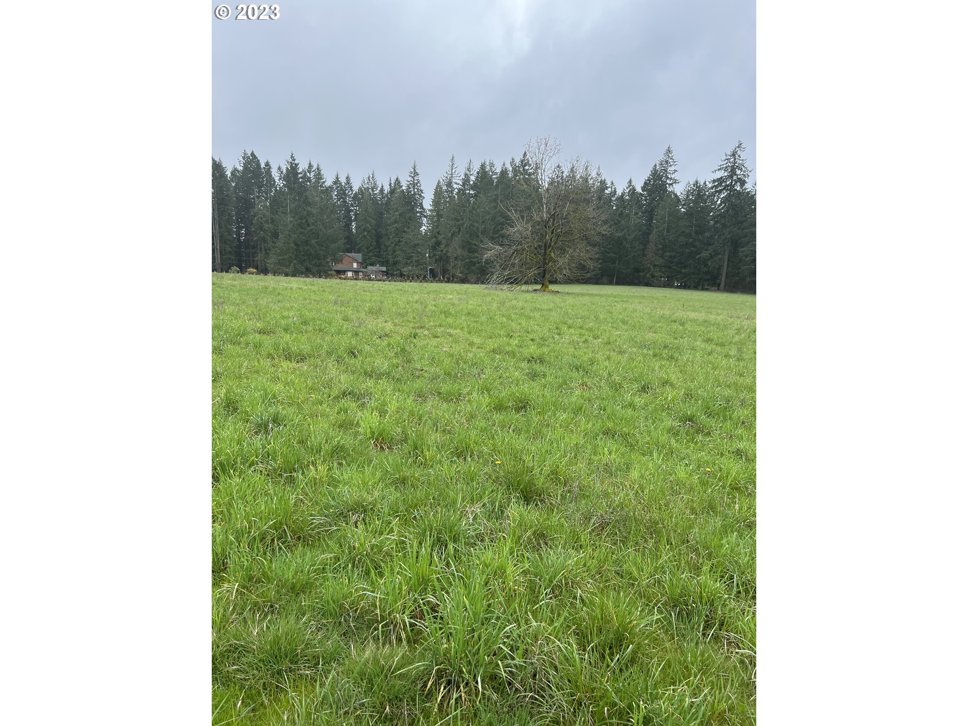 Homes on Acreage