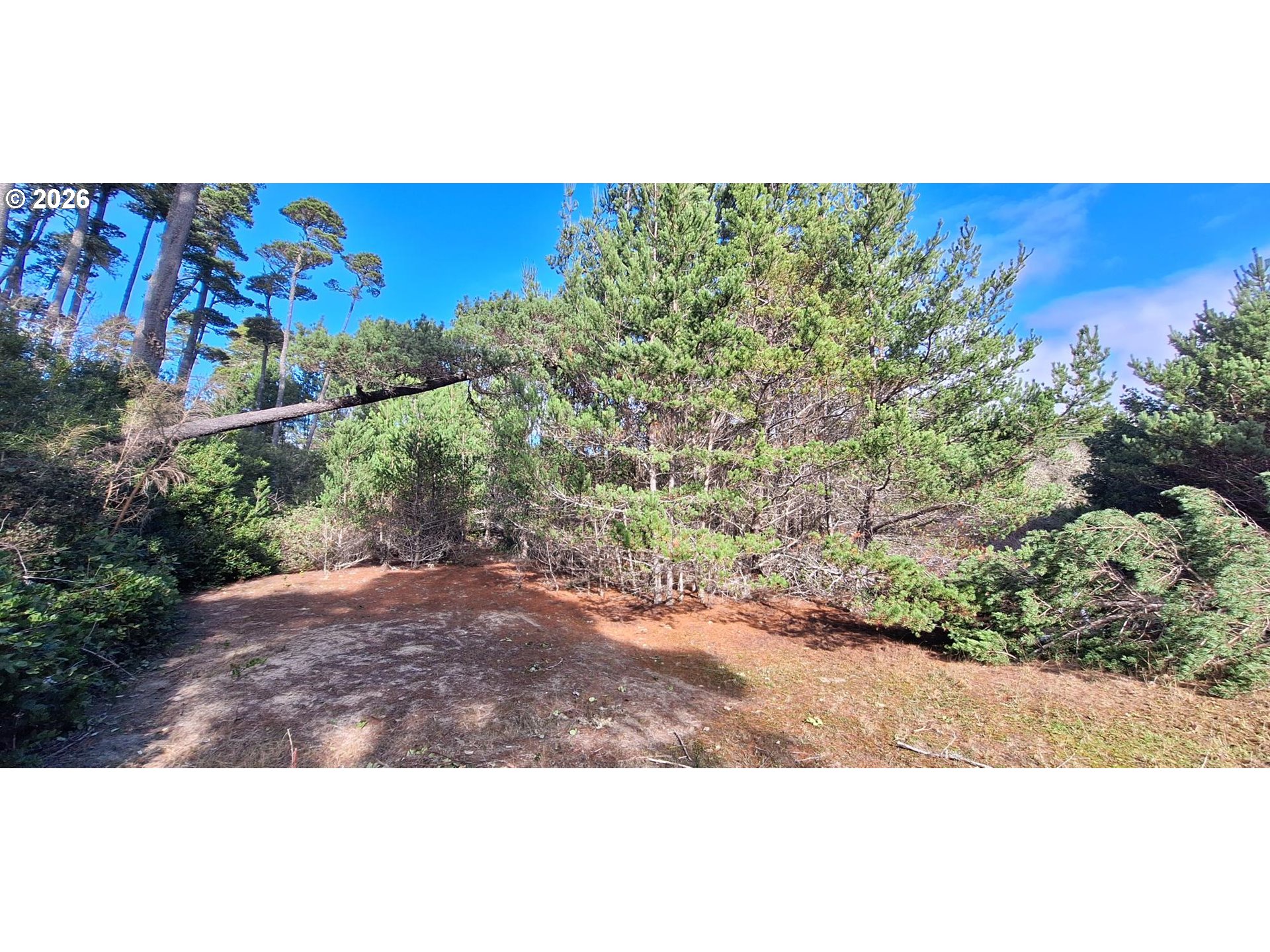 87977 KELSIE WAY, Florence, OR, 97439