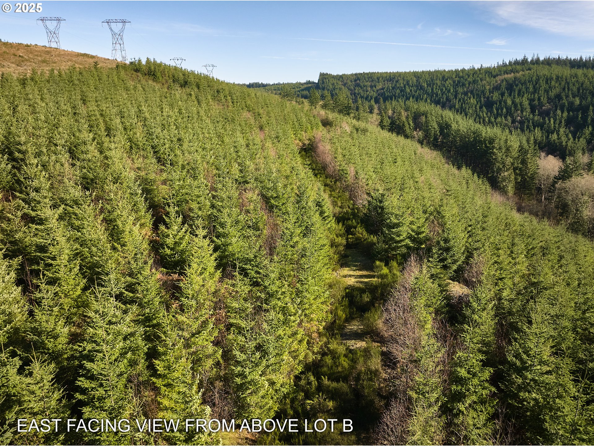 Washougal Listings Washougal Listings