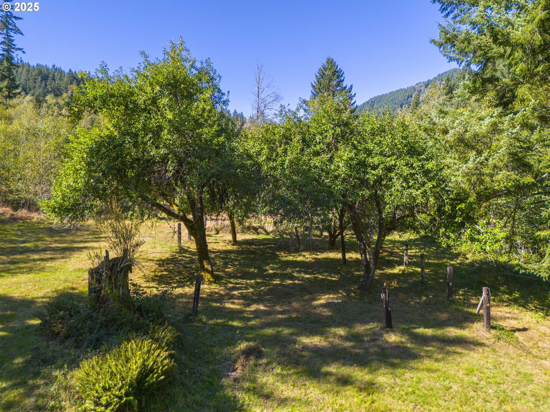 Search Homes for Sale