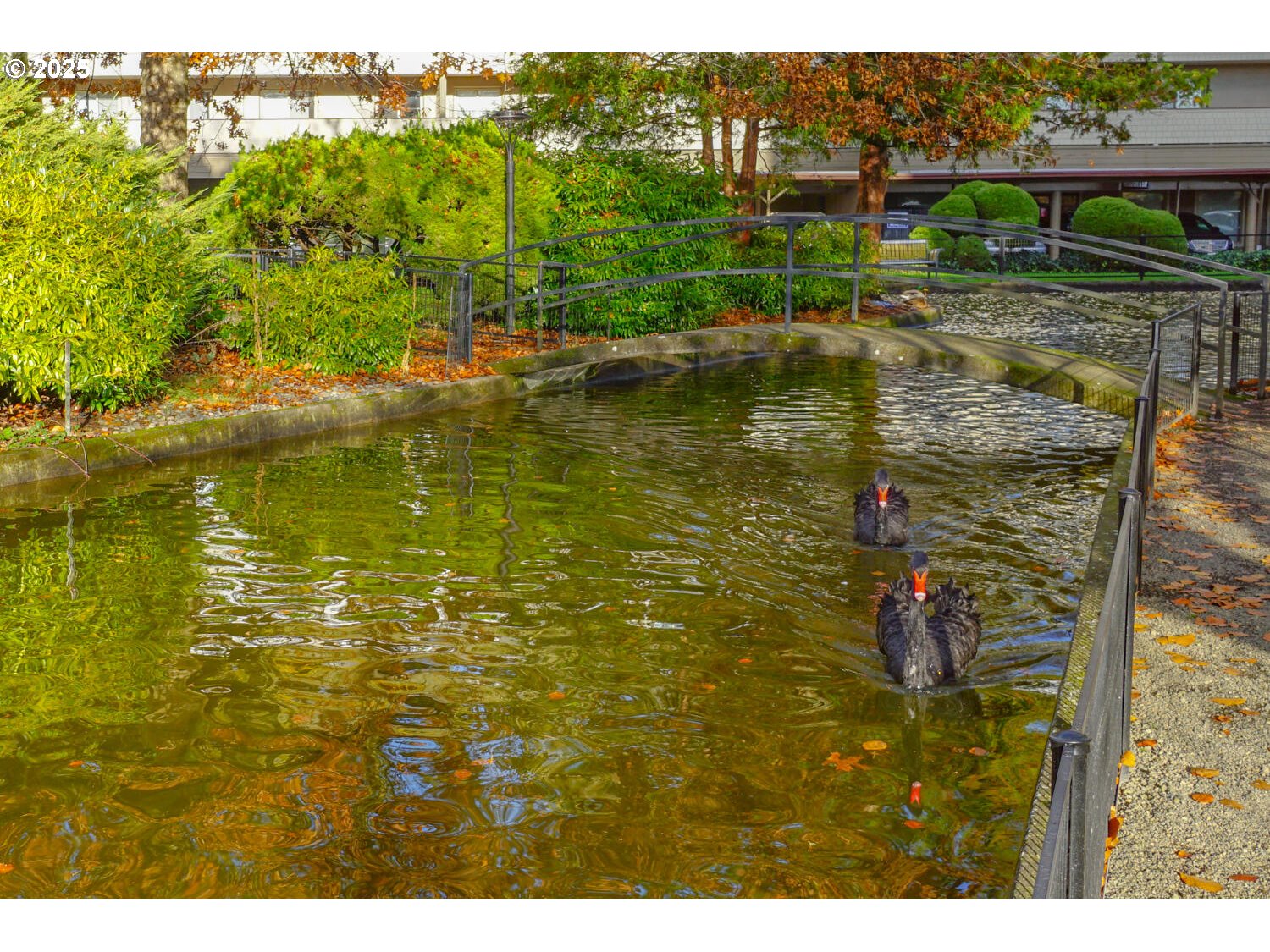 Photo #38: 332864214 Listing: Photo #38