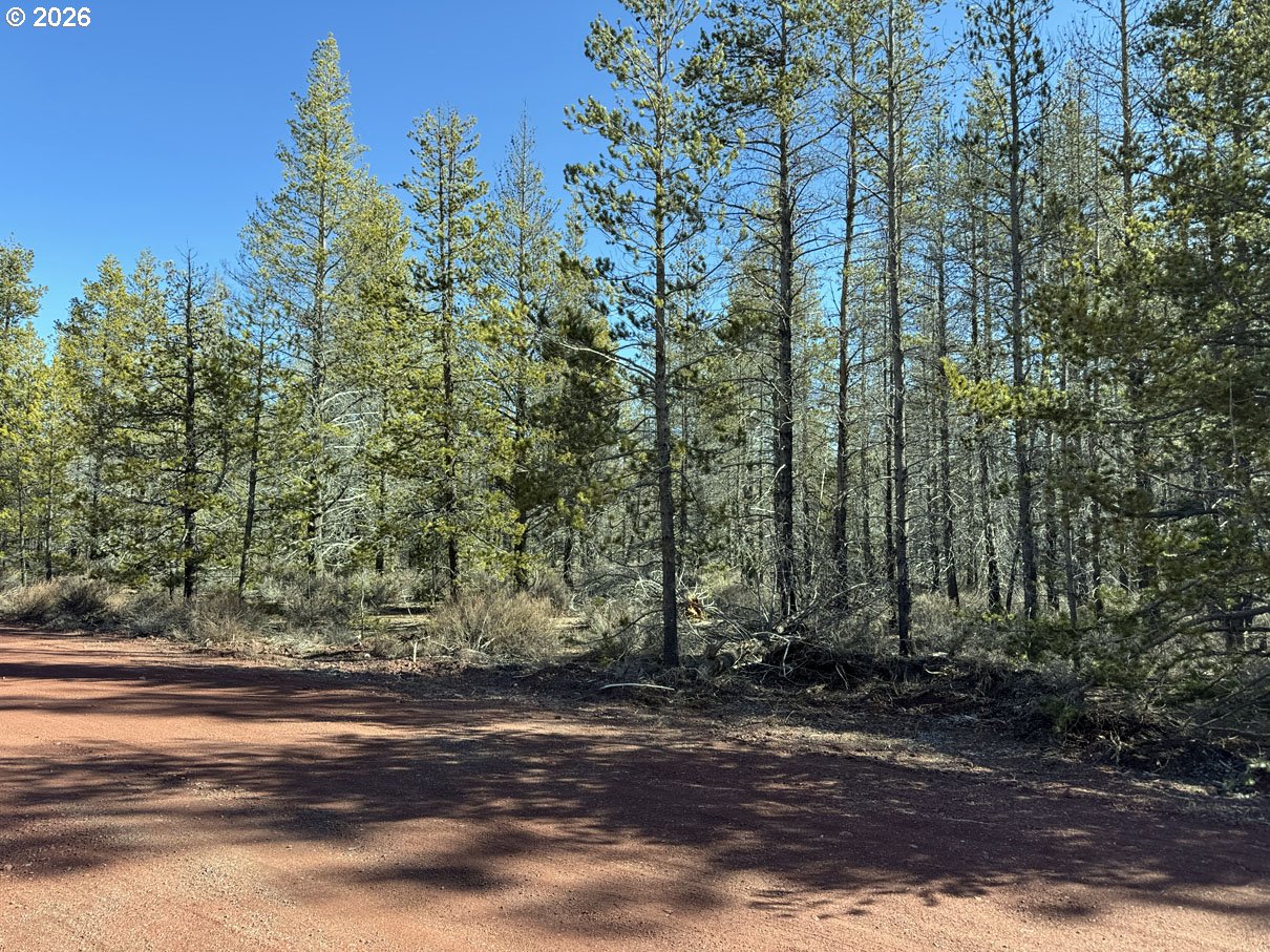 Search Homes for Sale