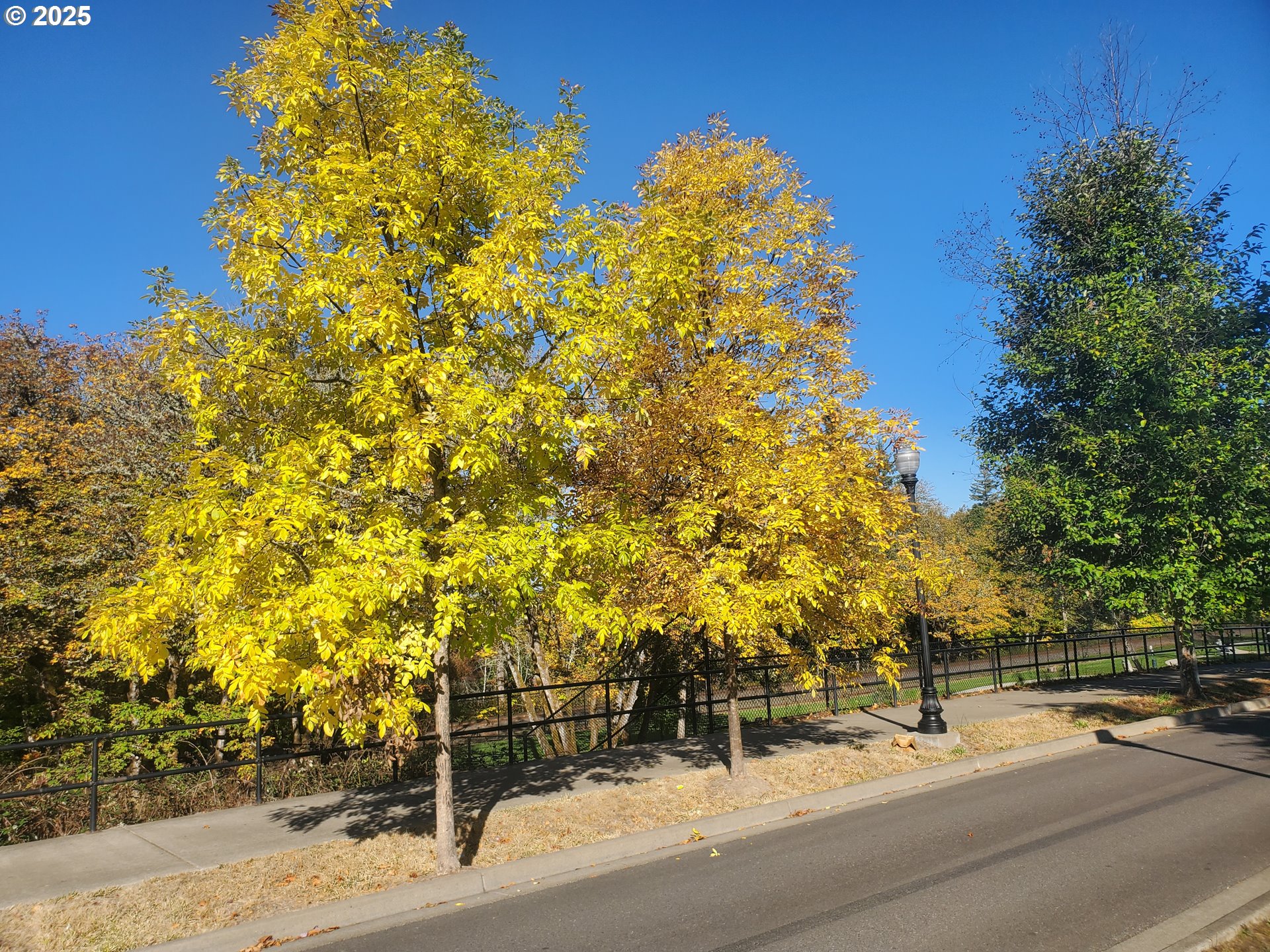 4th AVE, Veneta, OR, 97487