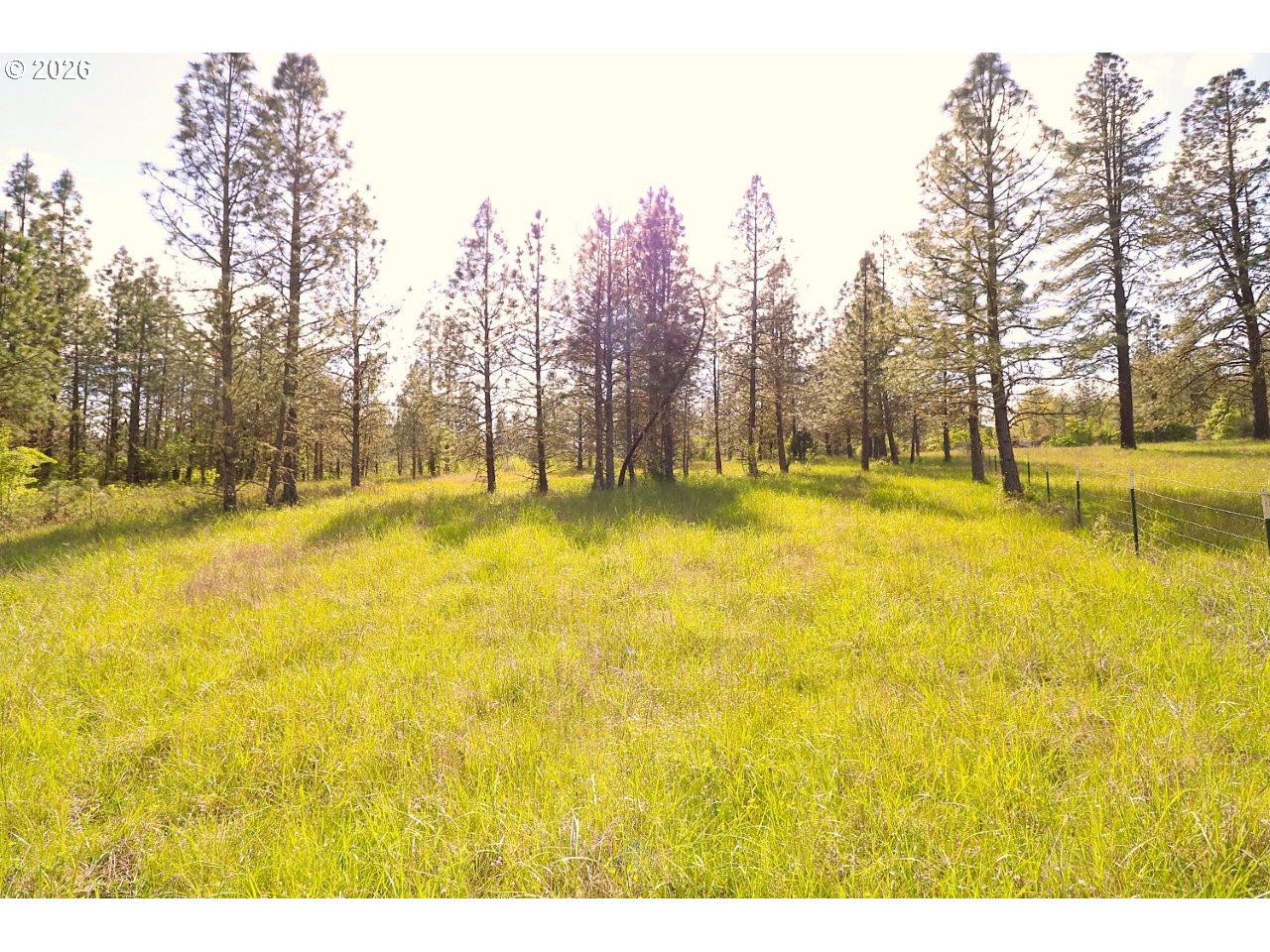 Bear Gulch RD, Sumpter, OR, 97877