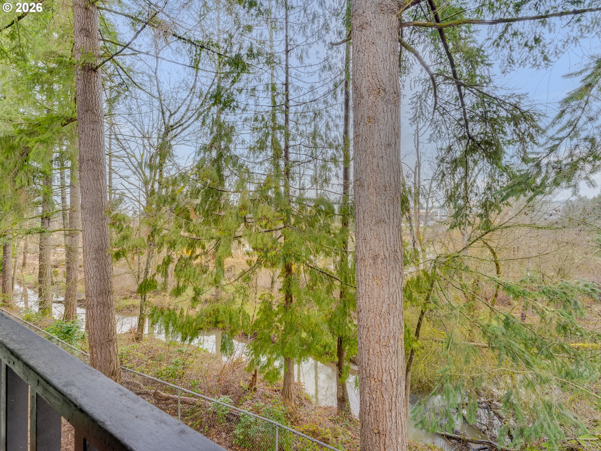 Photo #21: 338368111 Listing: Photo #21