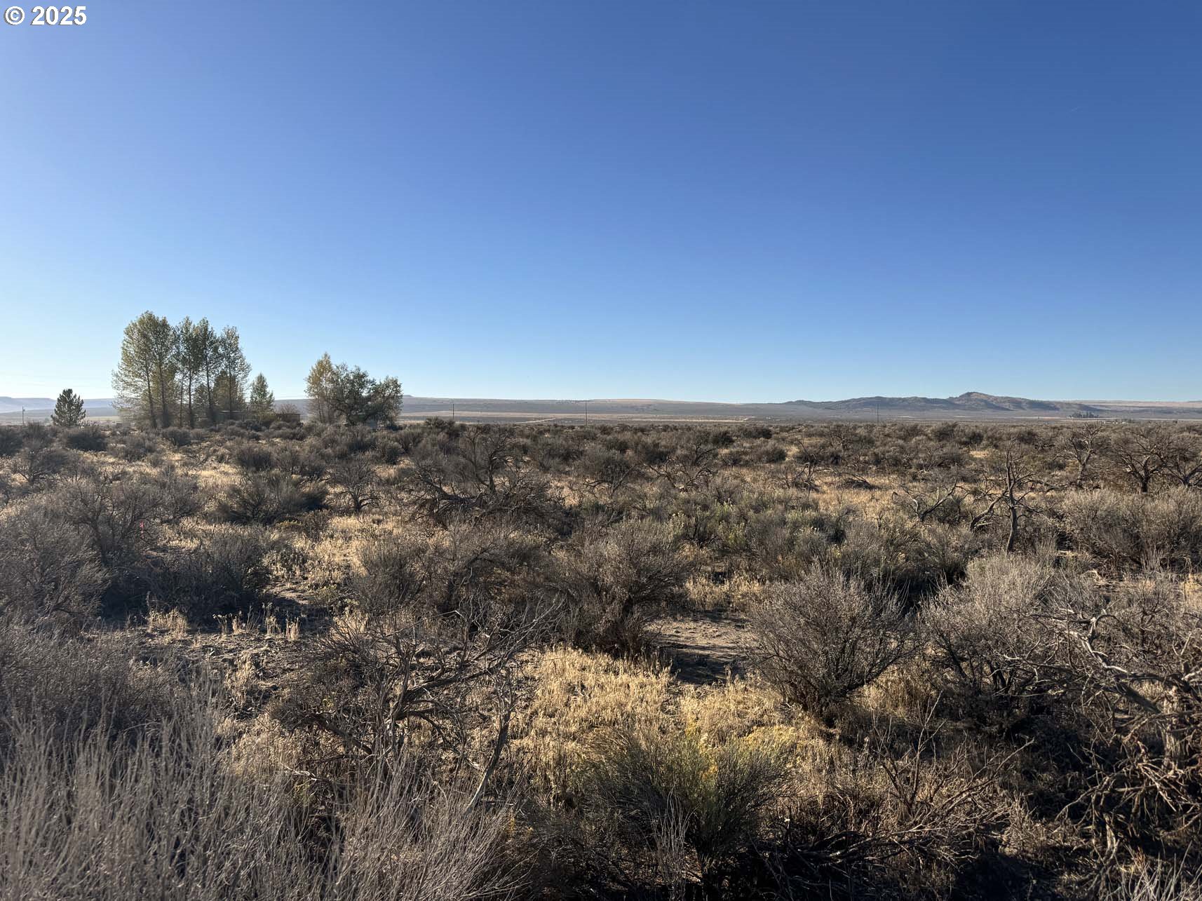 Pinion Lane 9200 UNIT 9200, Christmas Valley, OR, 97641