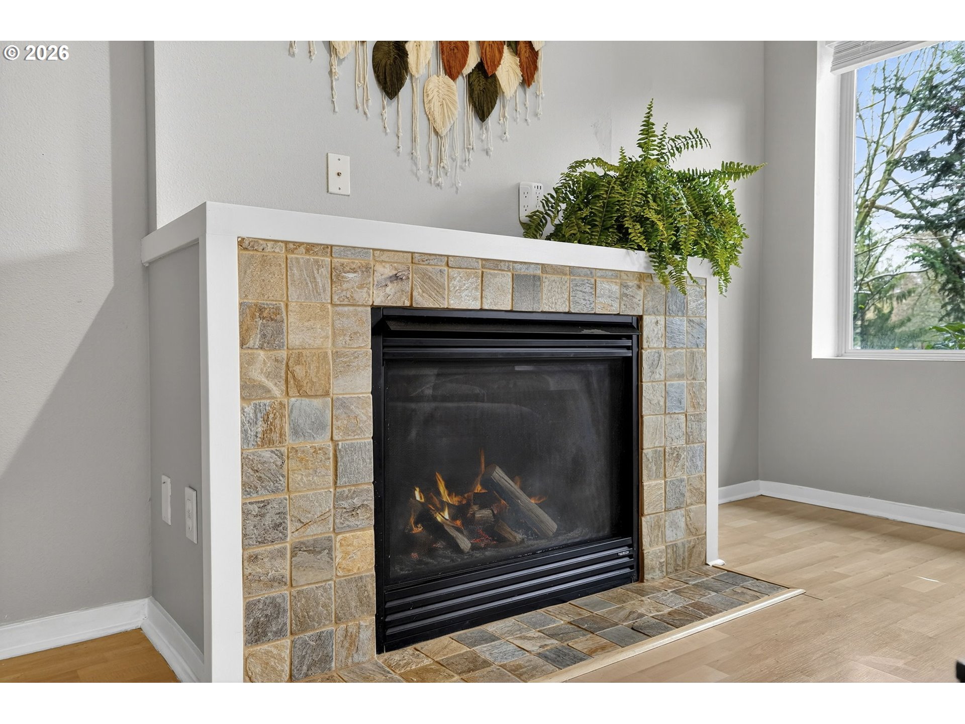 Photo #8: 344444517 Listing: Photo #8