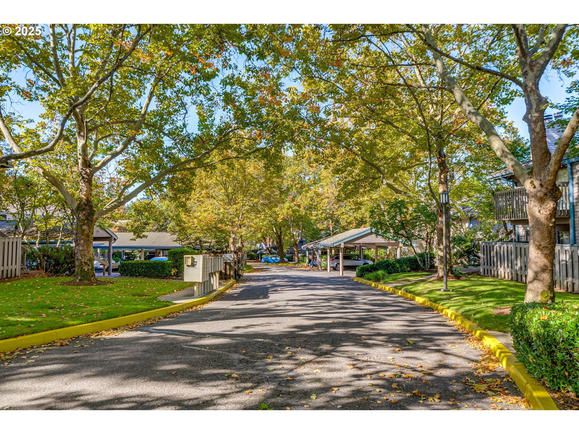 Photo #3: 346831915 Listing 