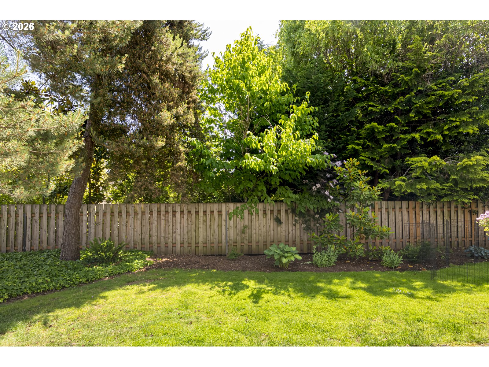 Photo #30: 346975132 Listing: Photo #30