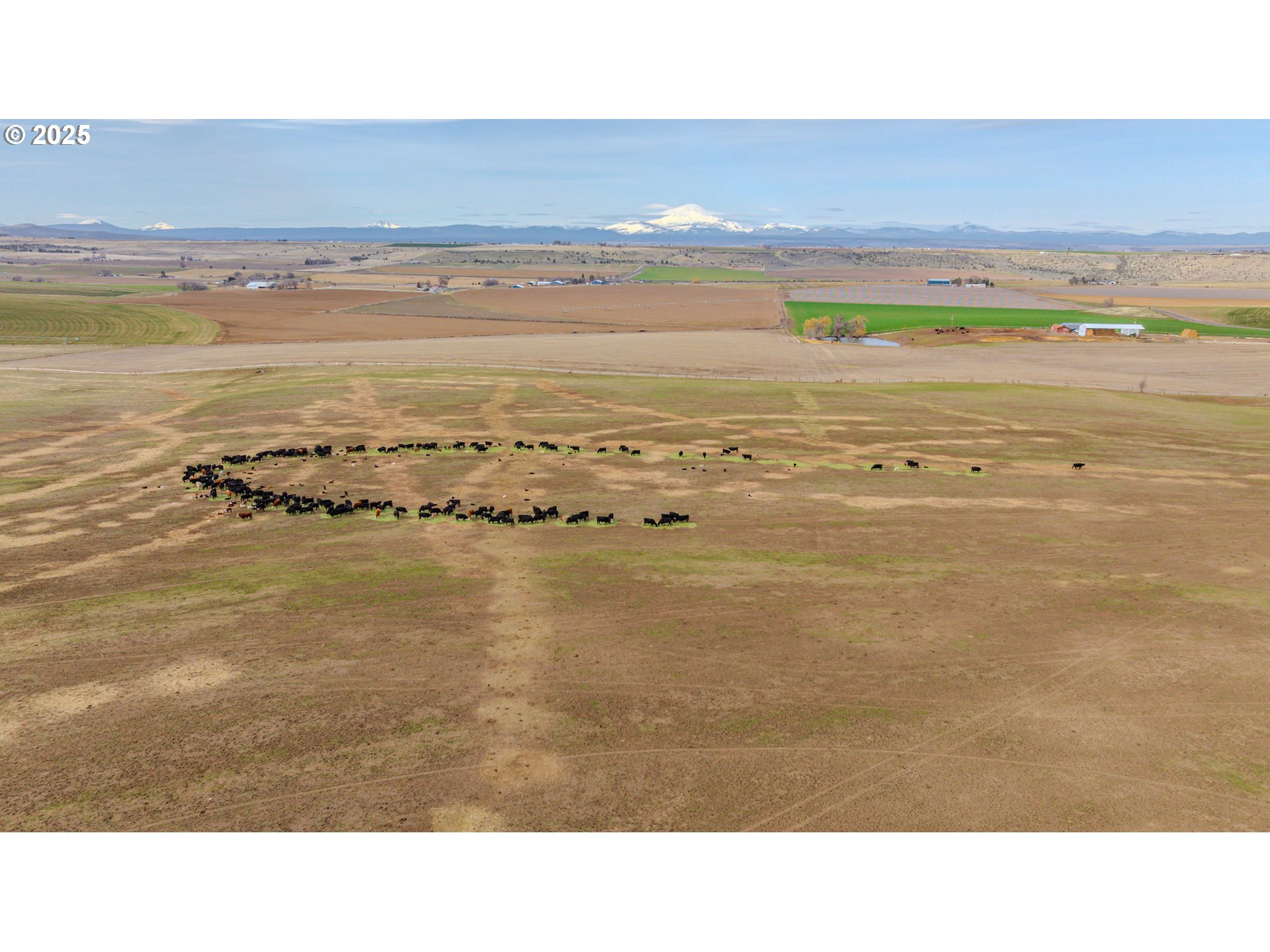 Search Homes for Sale