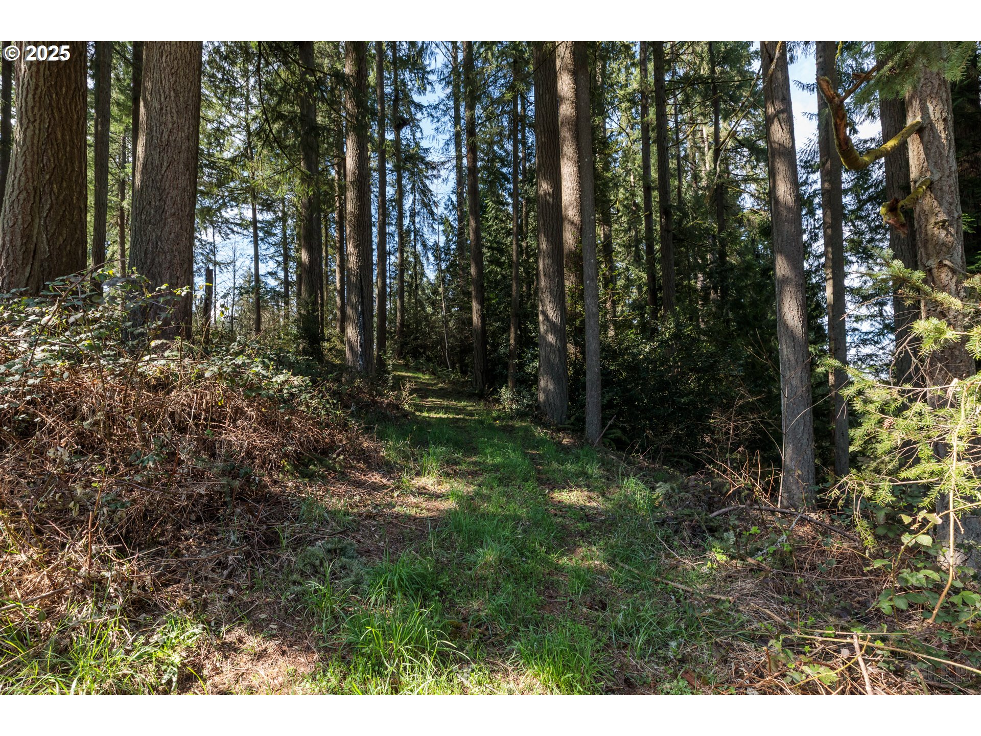 0 Oester RD, Warren, OR, 97053