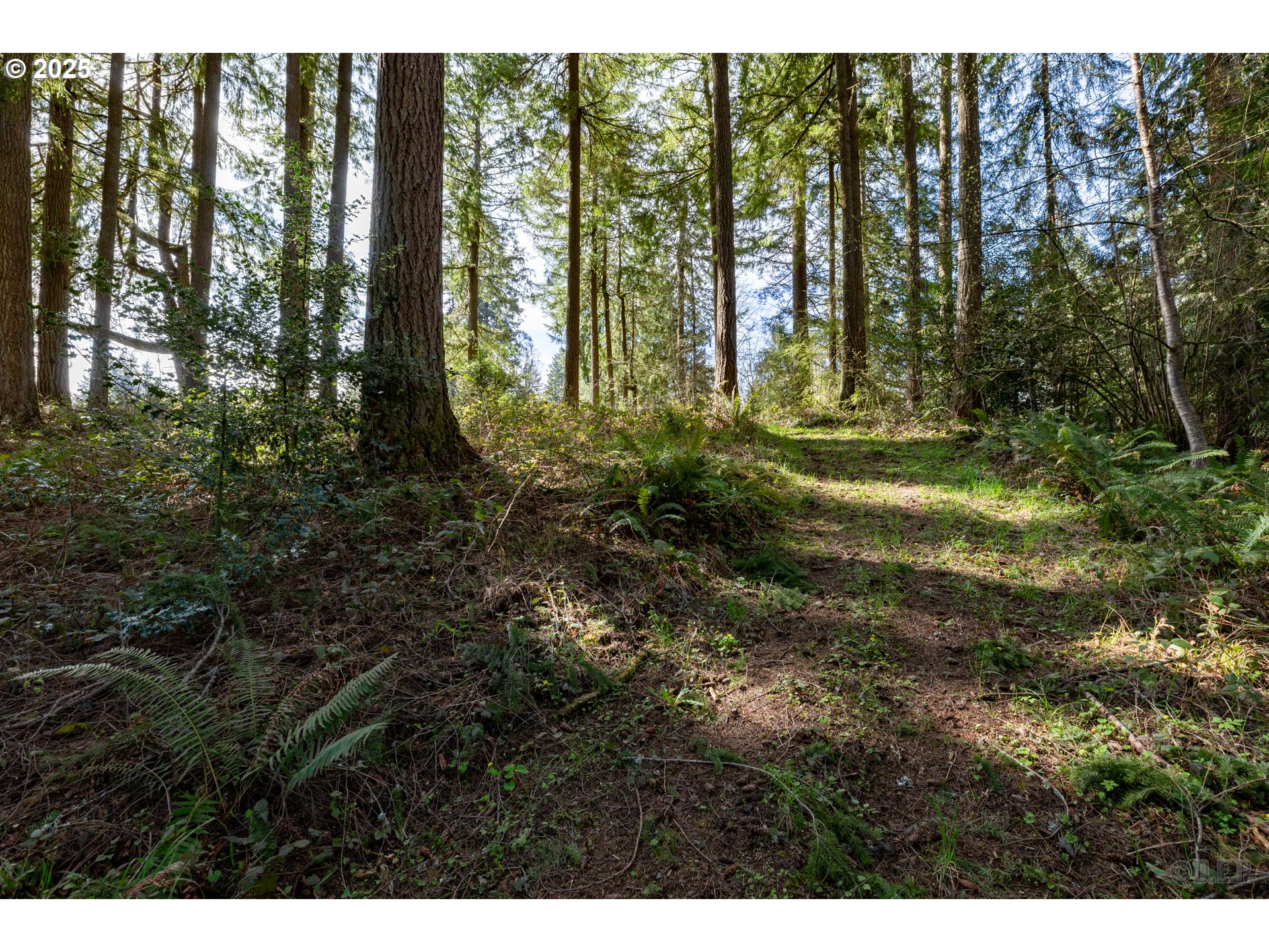 0 Oester RD, Warren, OR, 97053