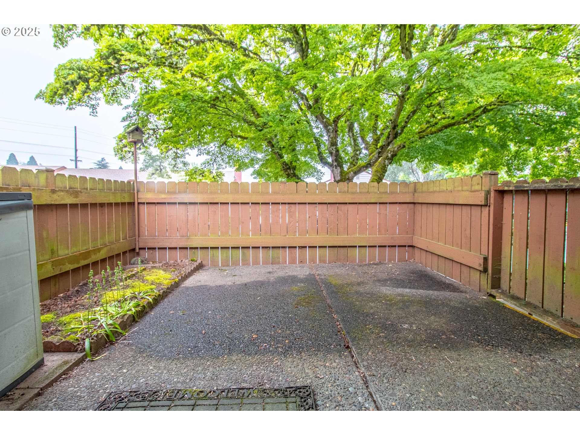 Photo #5: 348885674 Listing: Photo #5