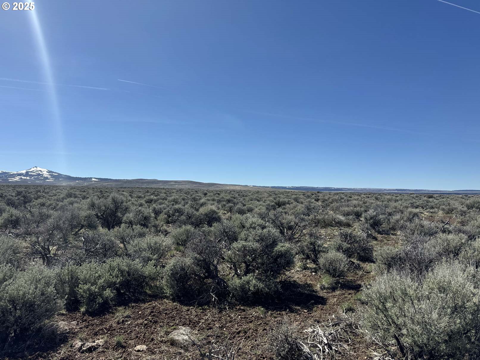 Search Homes for Sale