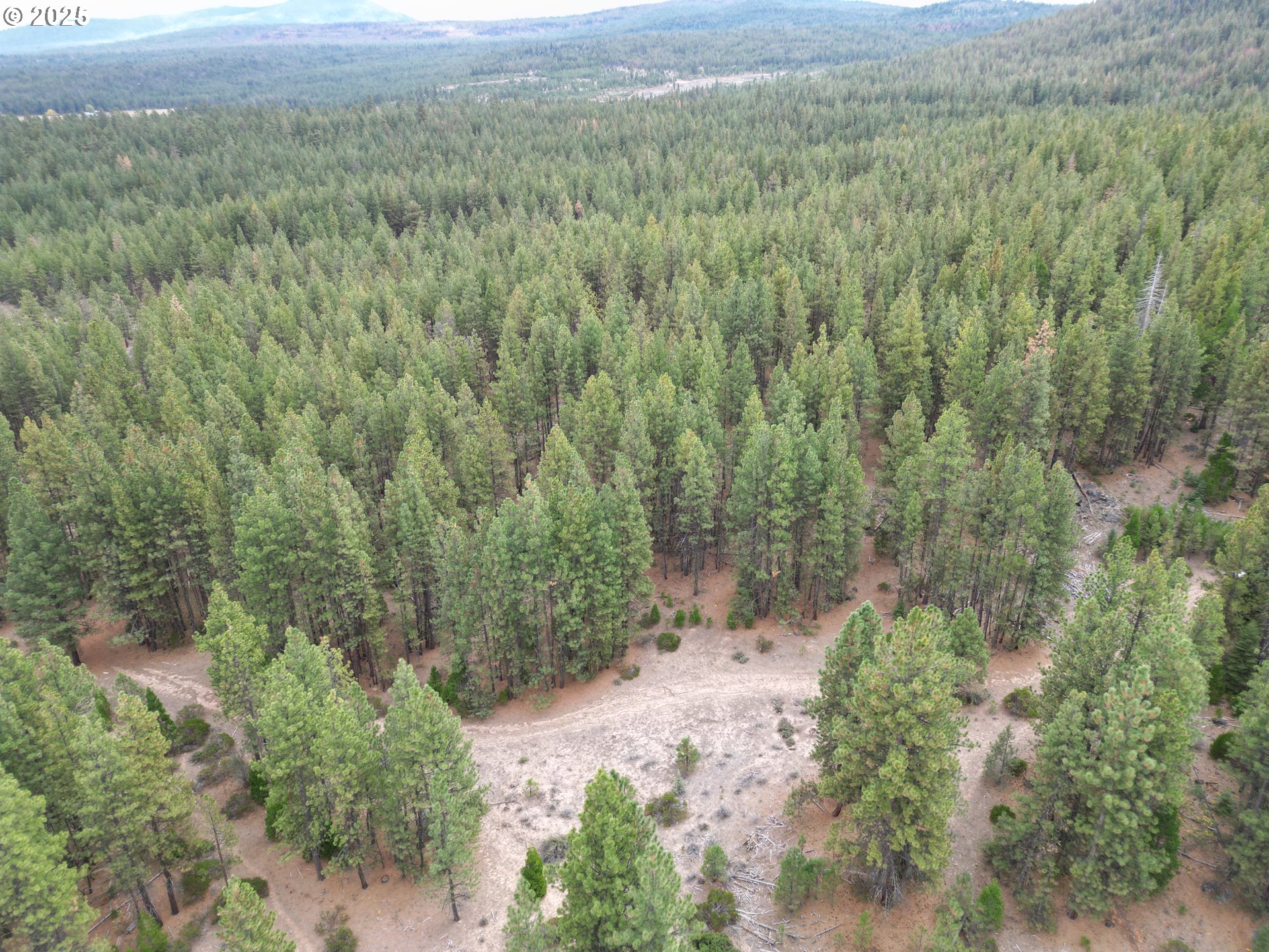 Search Homes for Sale