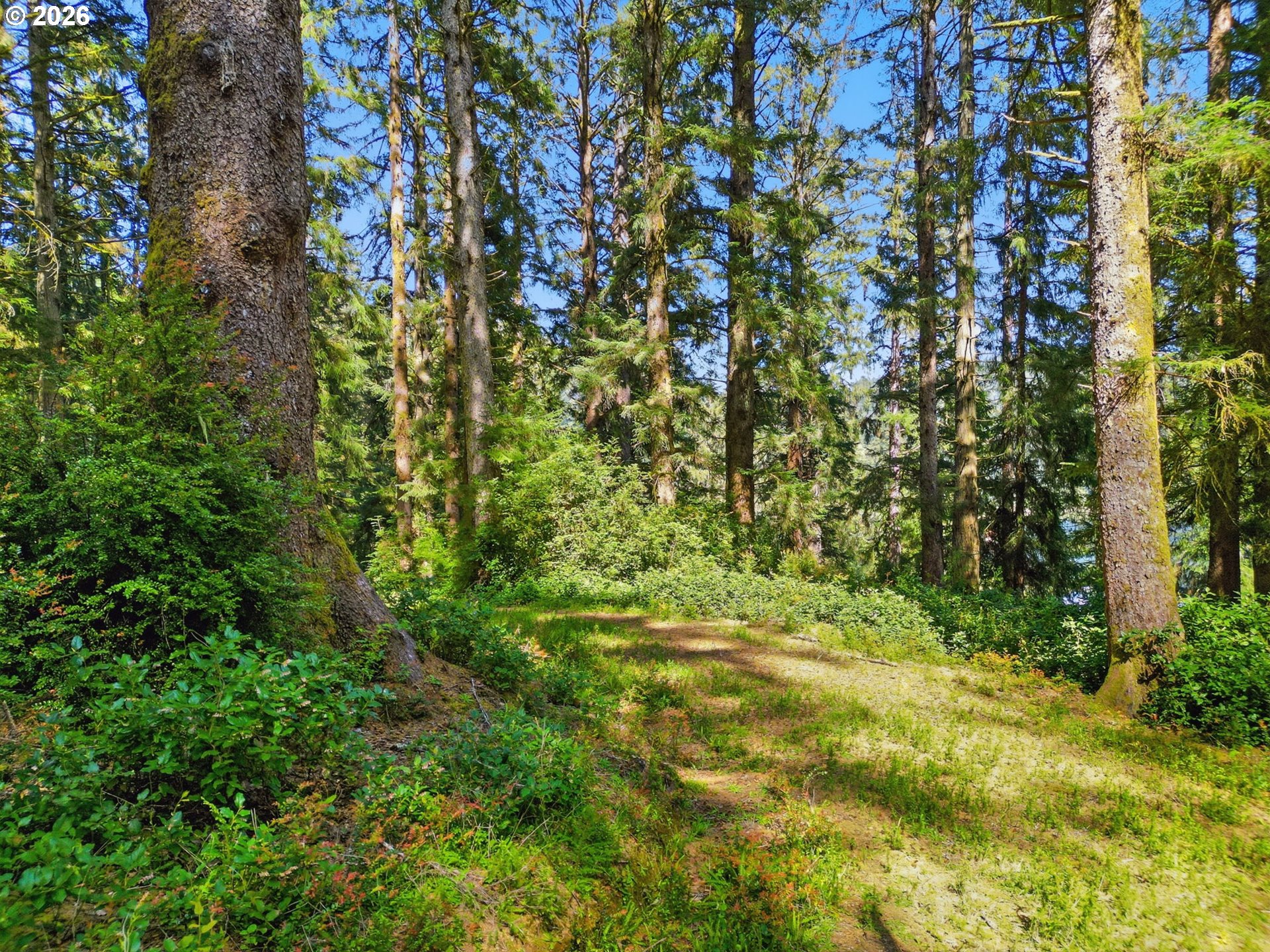 83553 JENSEN LN, Florence, OR, 97439