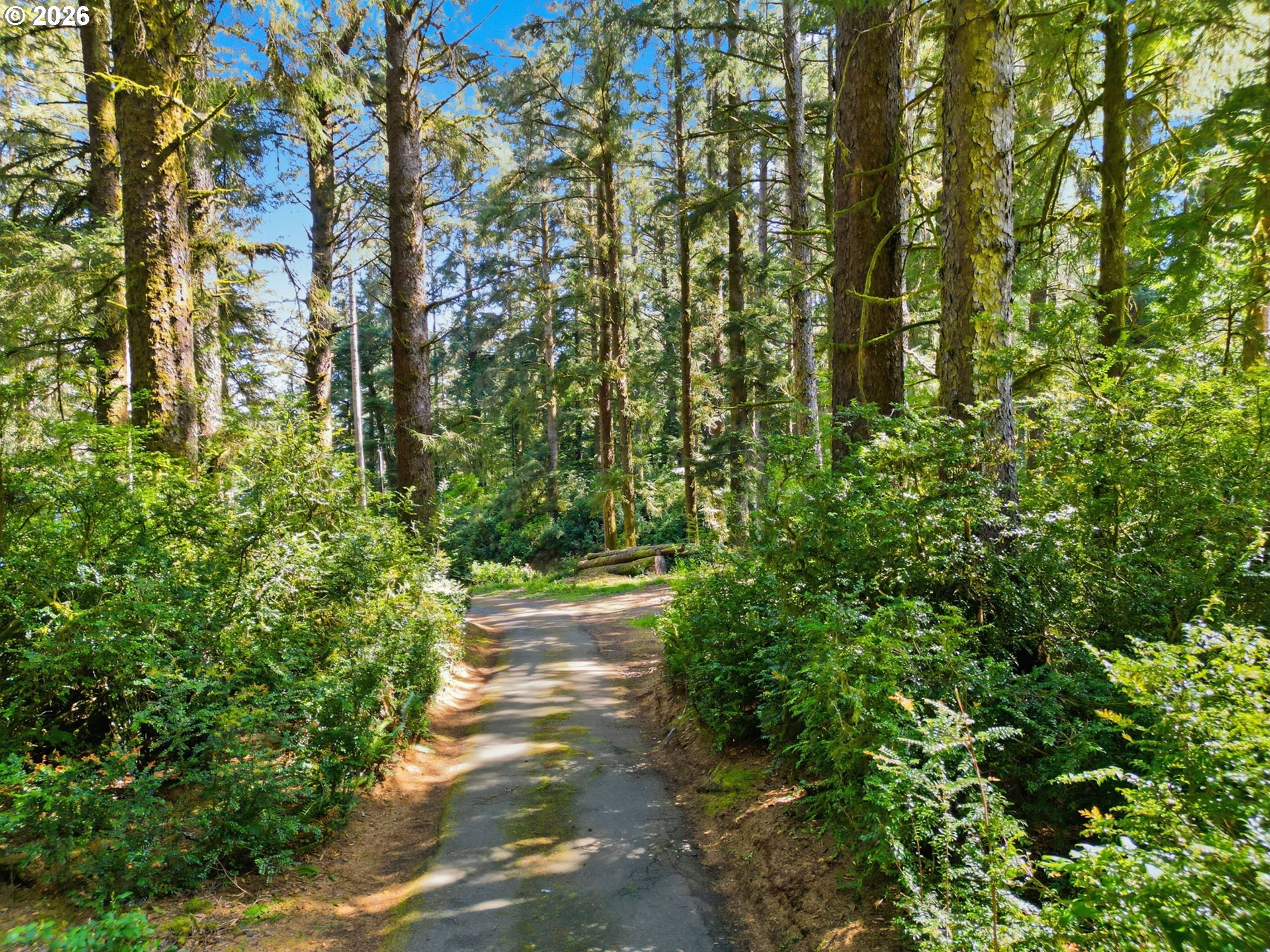 83553 JENSEN LN, Florence, OR, 97439