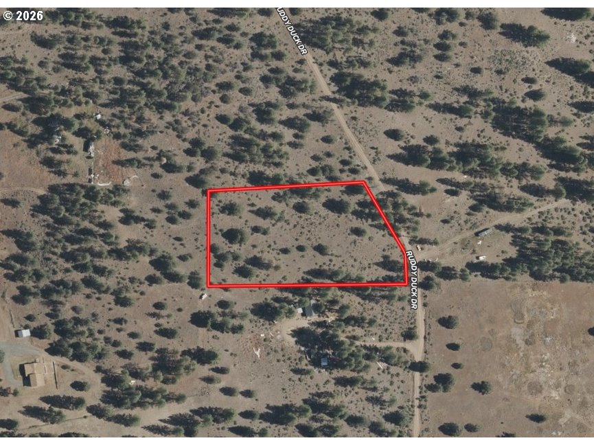 Search Homes for Sale