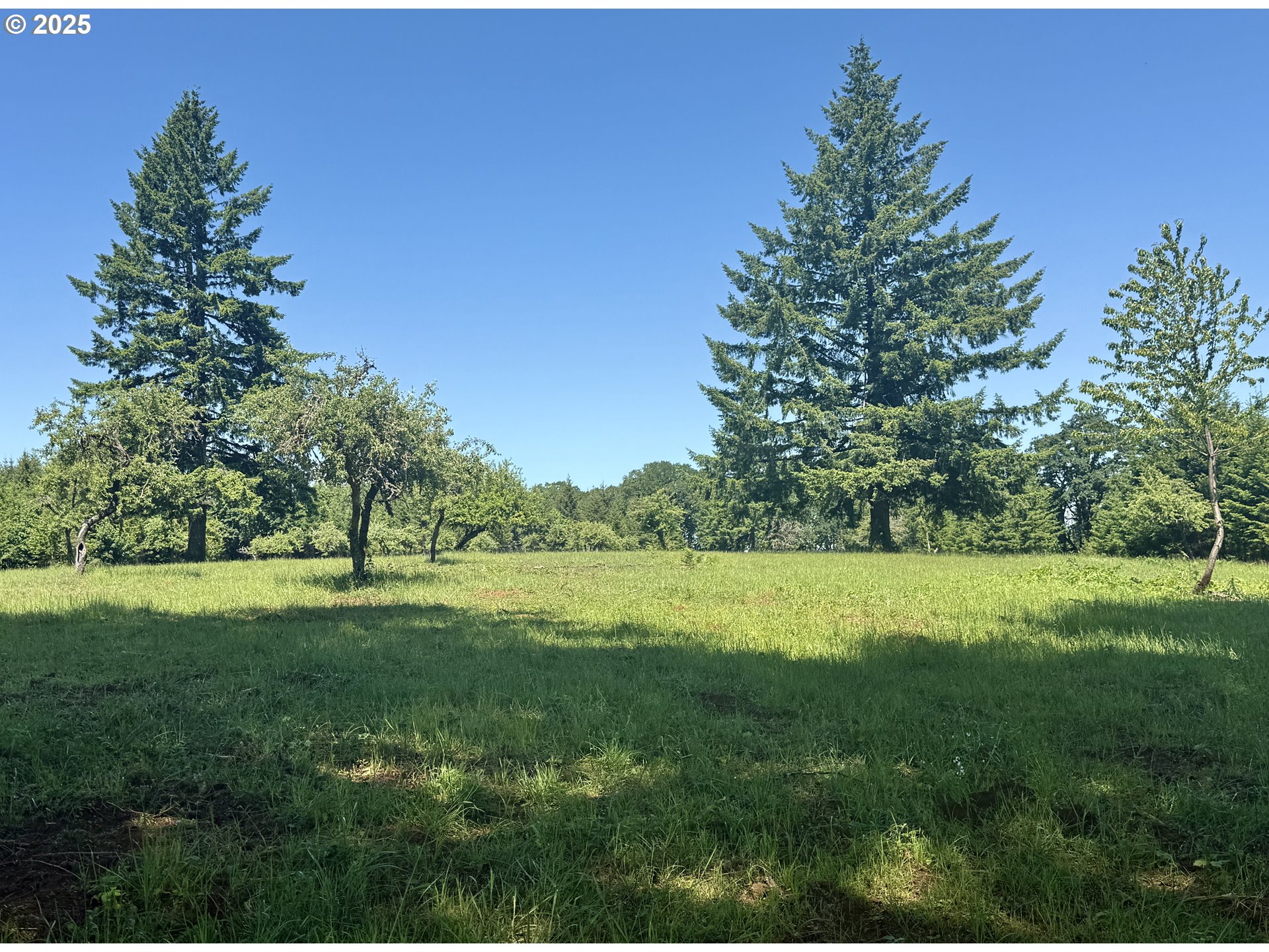 11892 SW Dupee Valley RD, Mc Minnville, OR, 97128