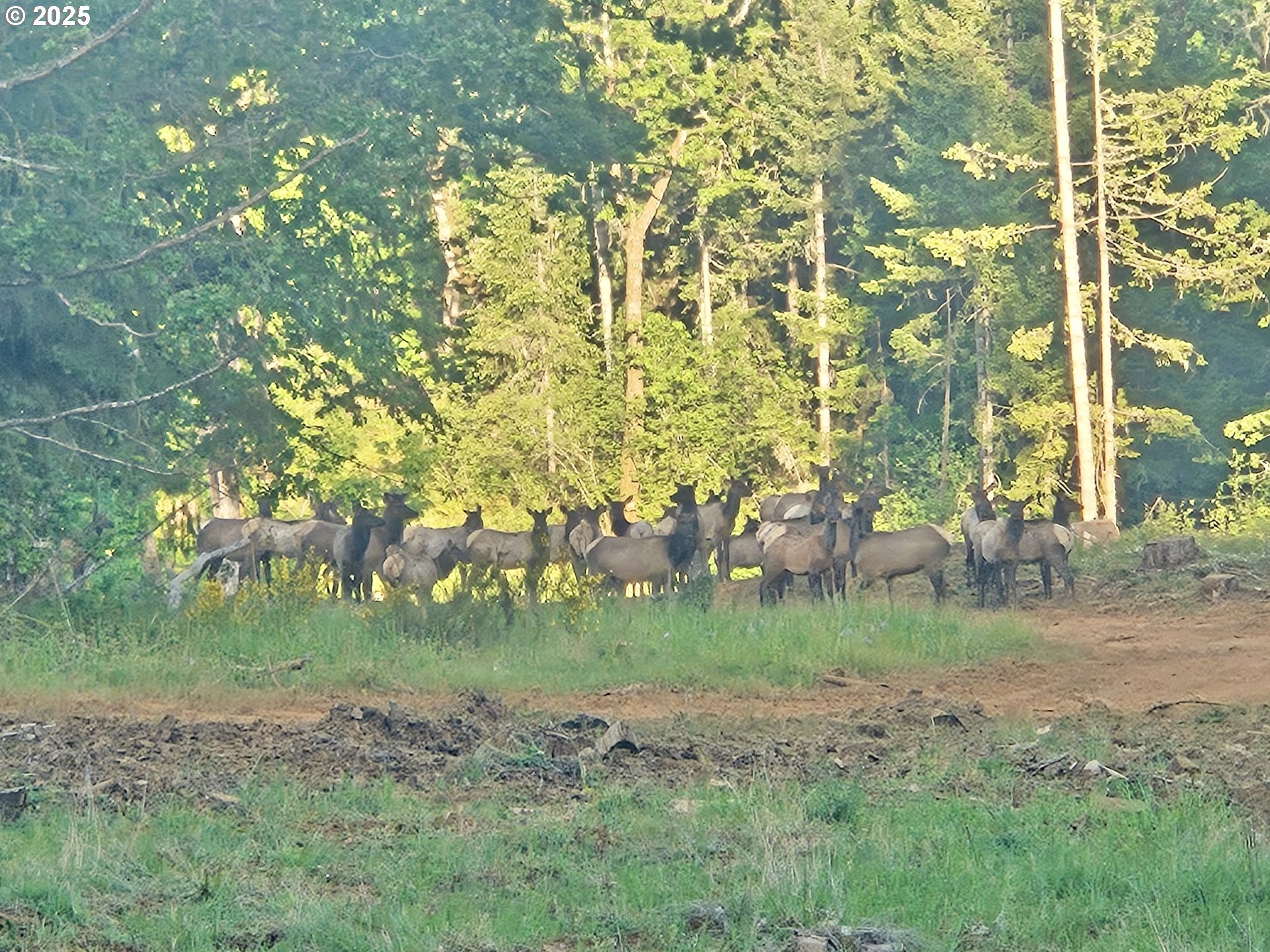 11892 SW Dupee Valley RD, Mc Minnville, OR, 97128