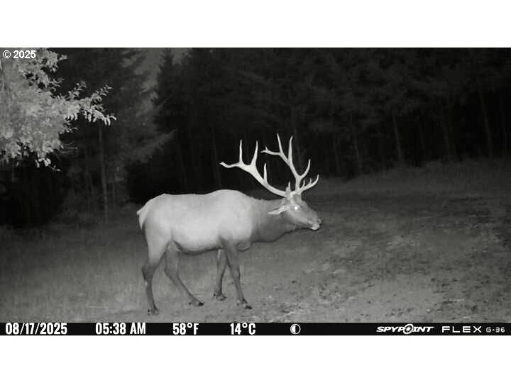 11892 SW Dupee Valley RD, Mc Minnville, OR, 97128